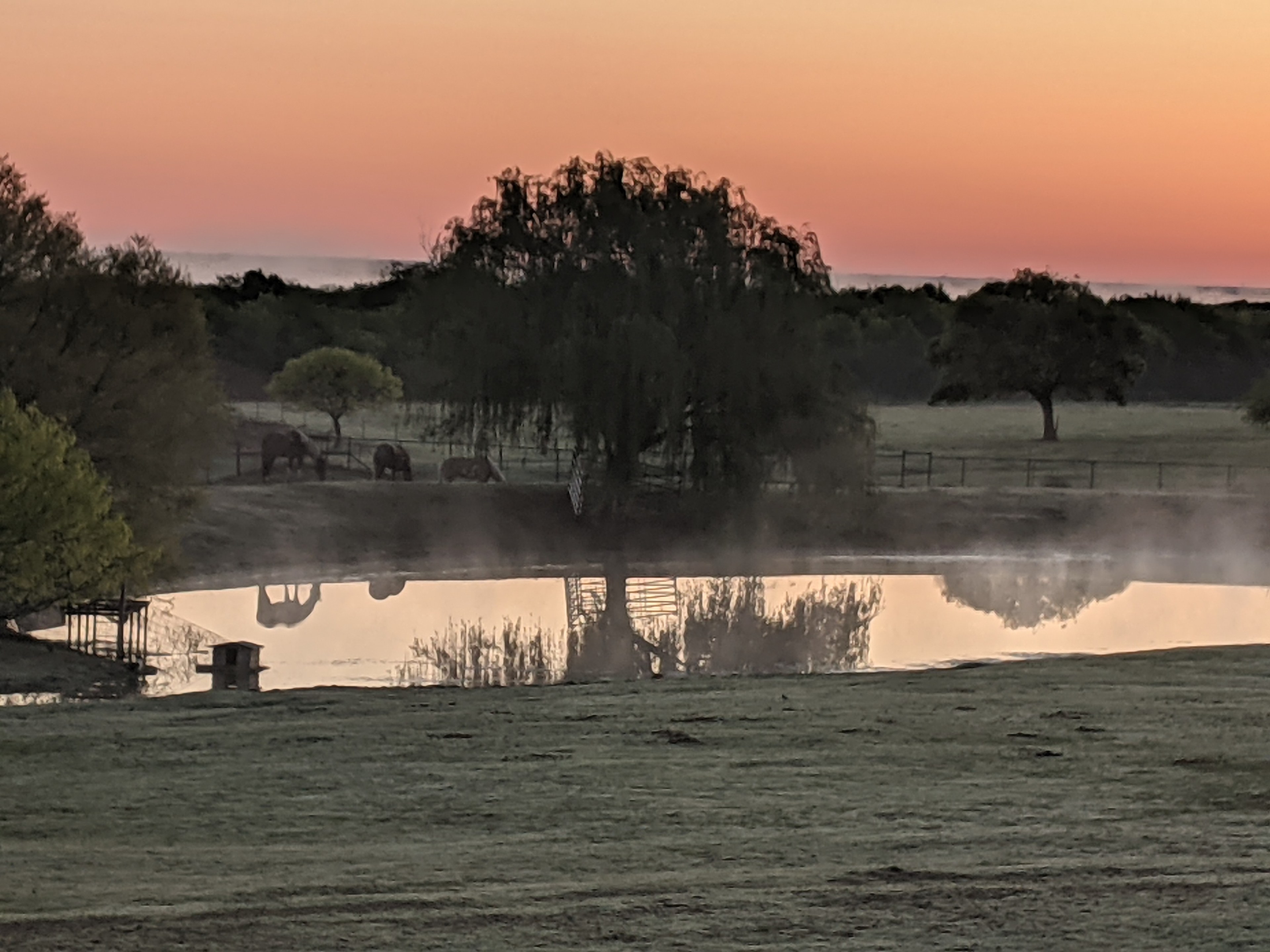 Willow Grey Ranch