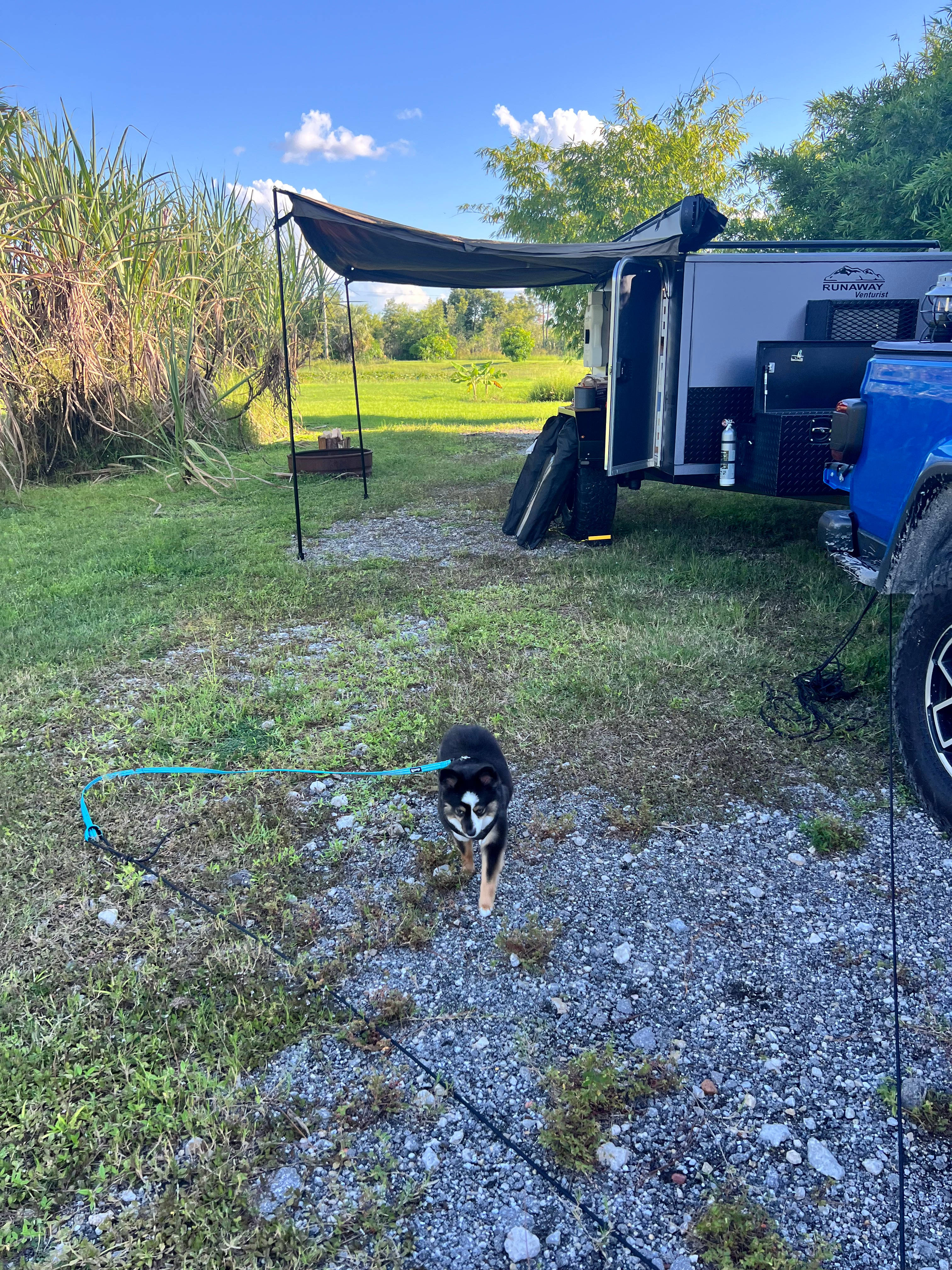 Tres Lagos Farm & Garden