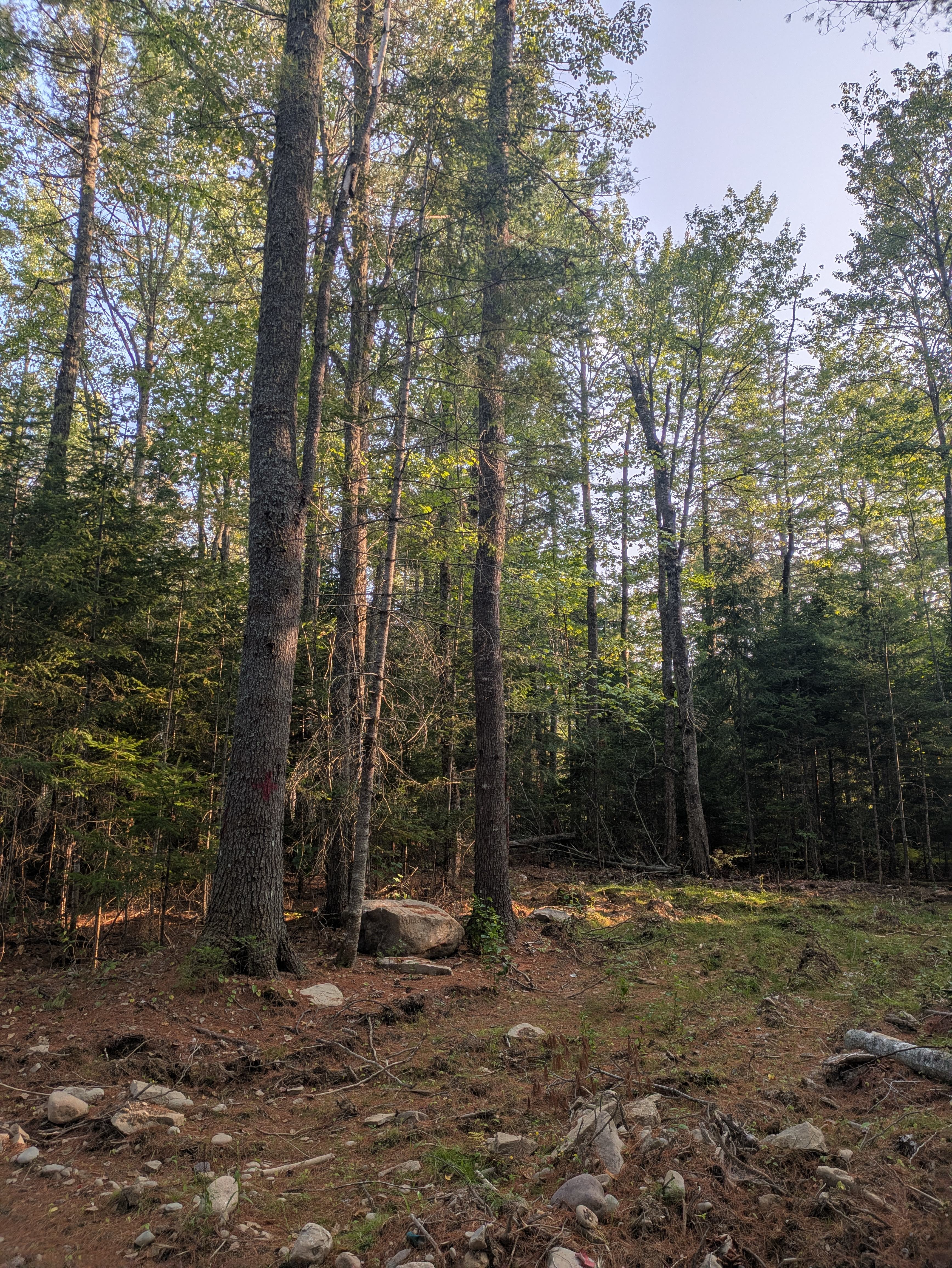LaPlante Farm