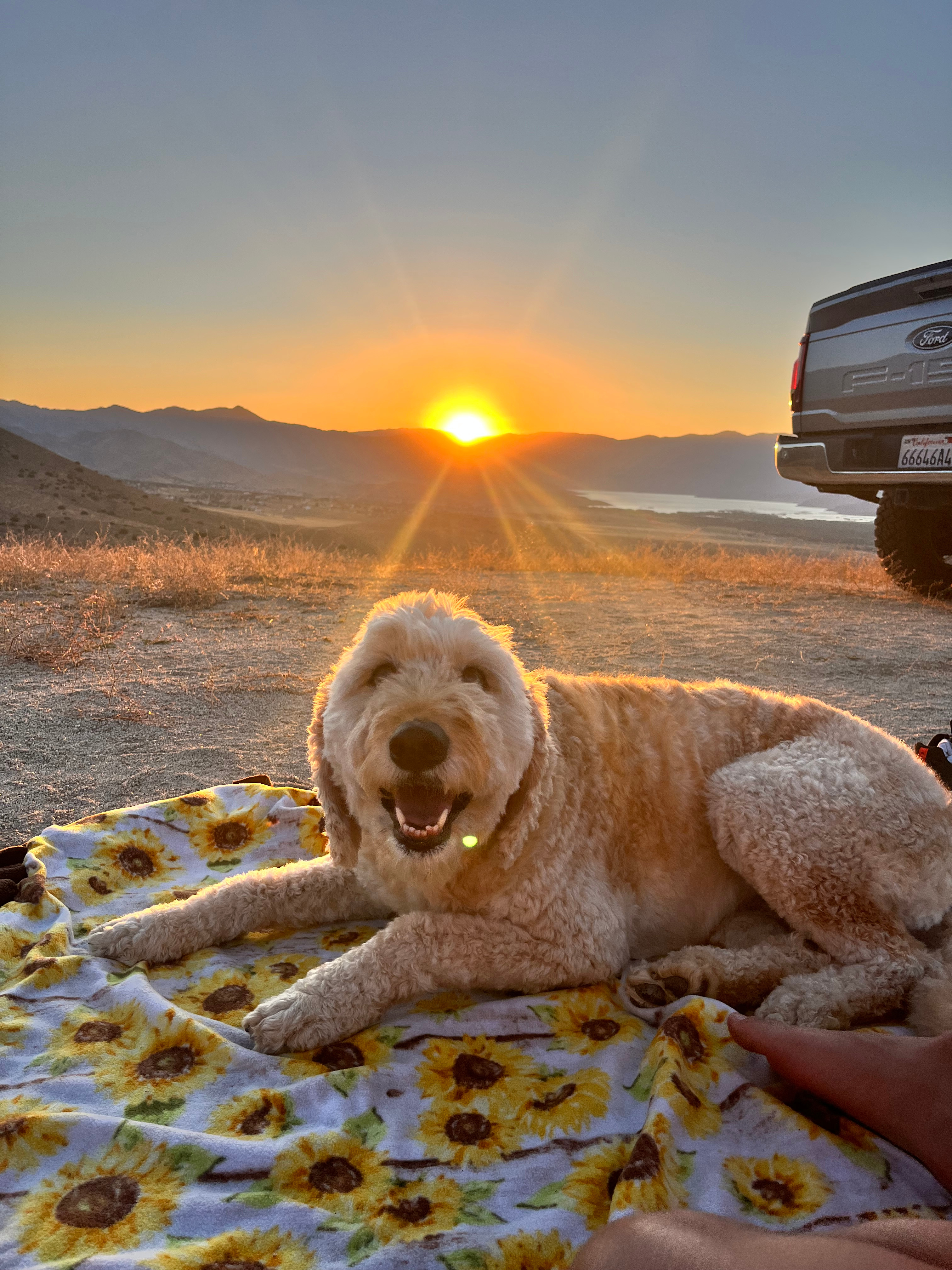 Diamond Acres Camp 🏕