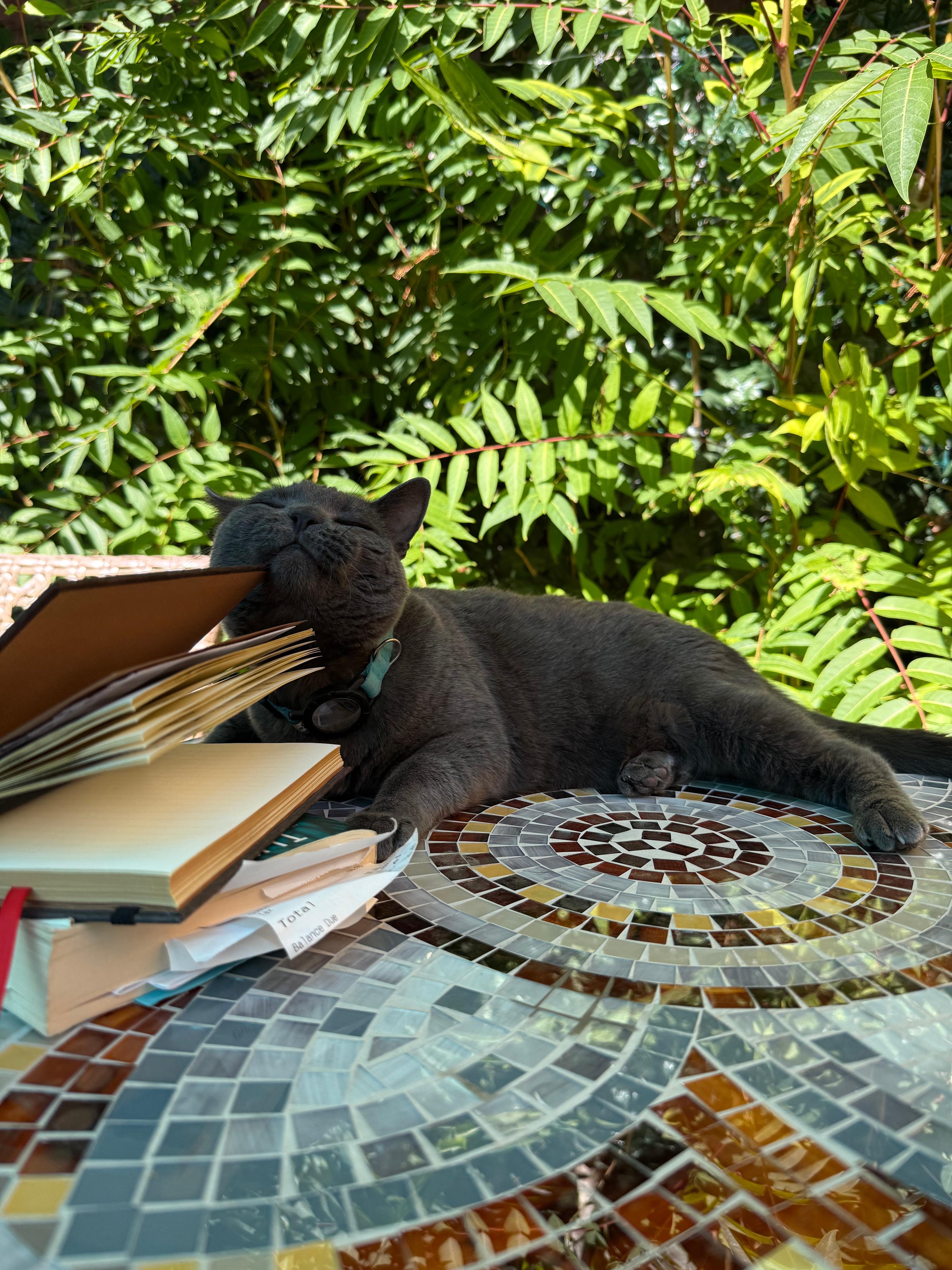 Walk to Concerts|Power/Water!