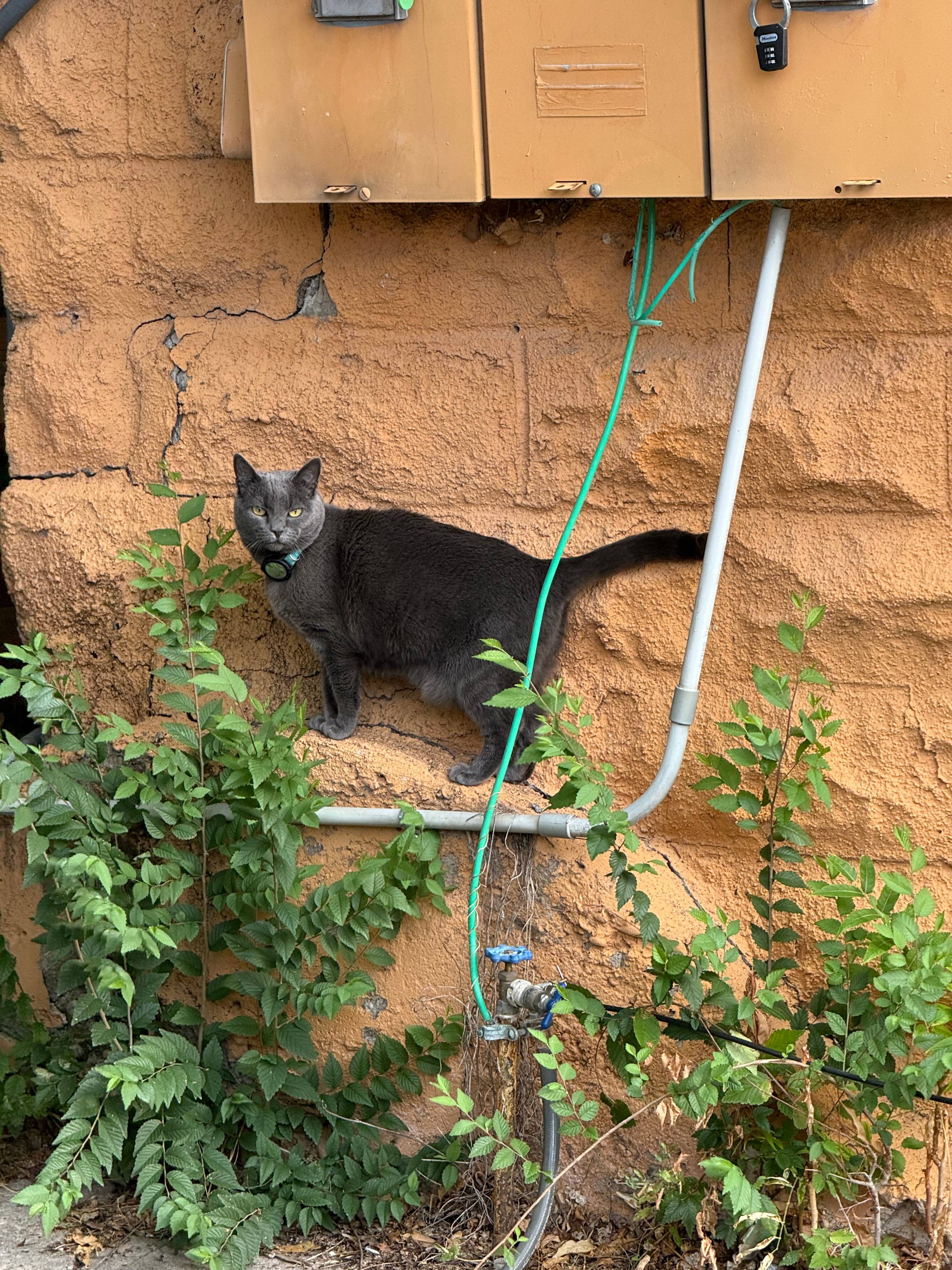 Walk to Concerts|Power/Water!