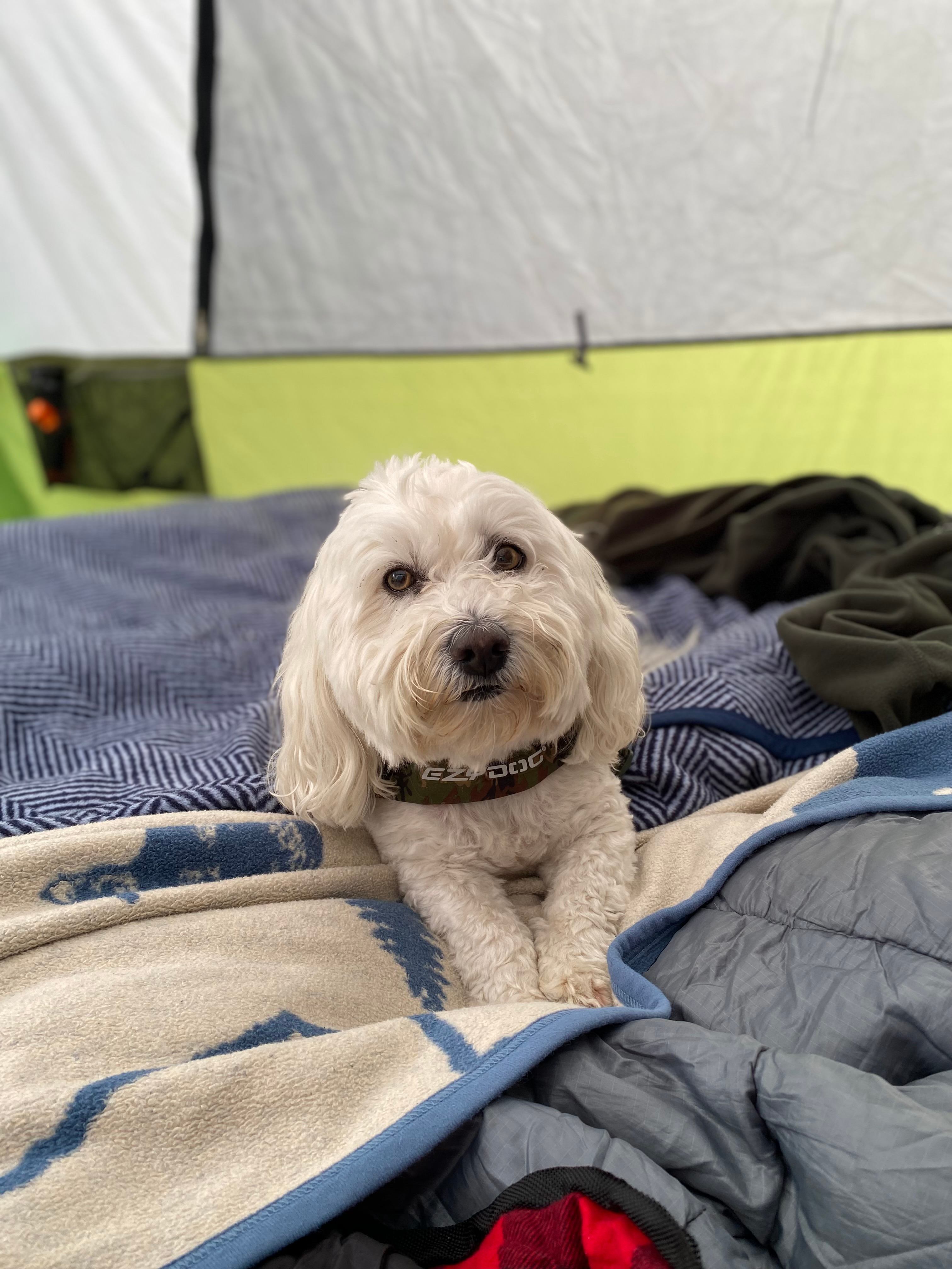 Boomtown Rustic Camp