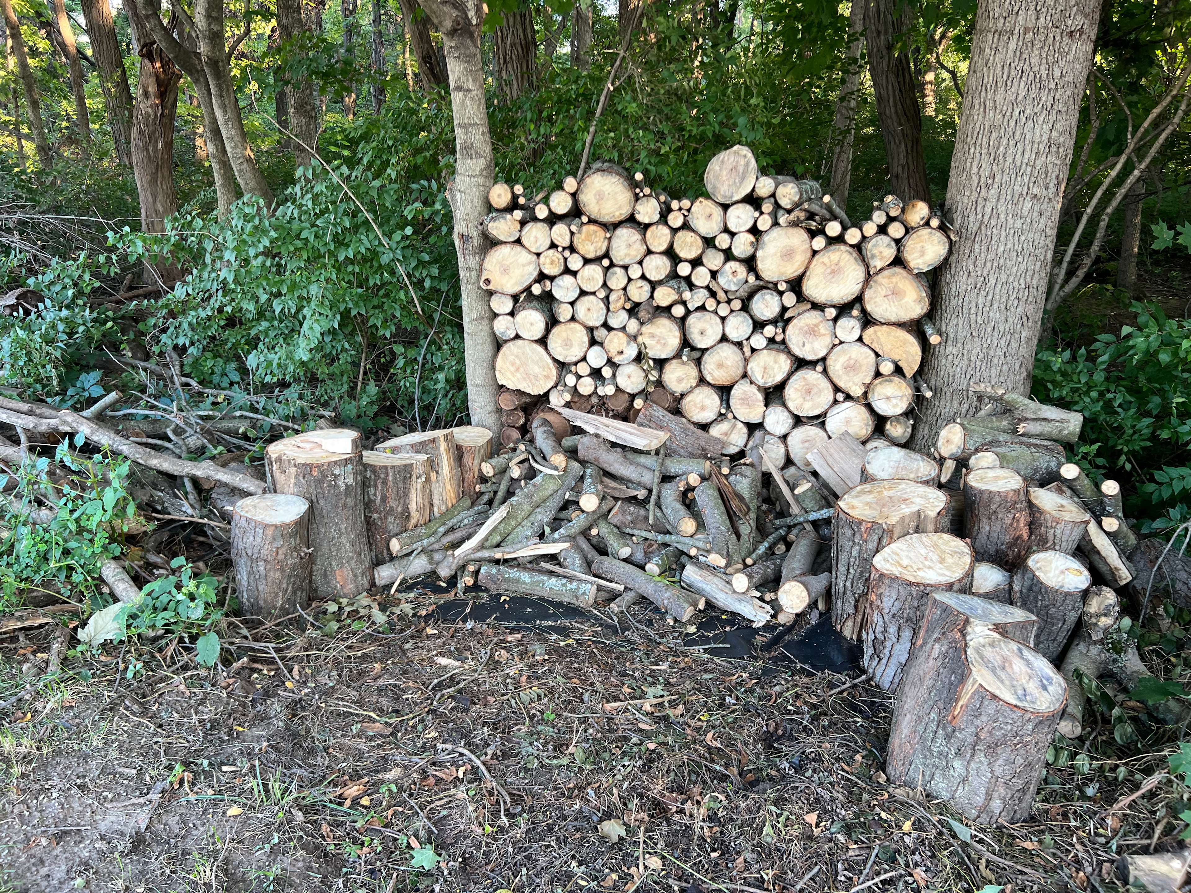 Private & Quiet RV Campsite