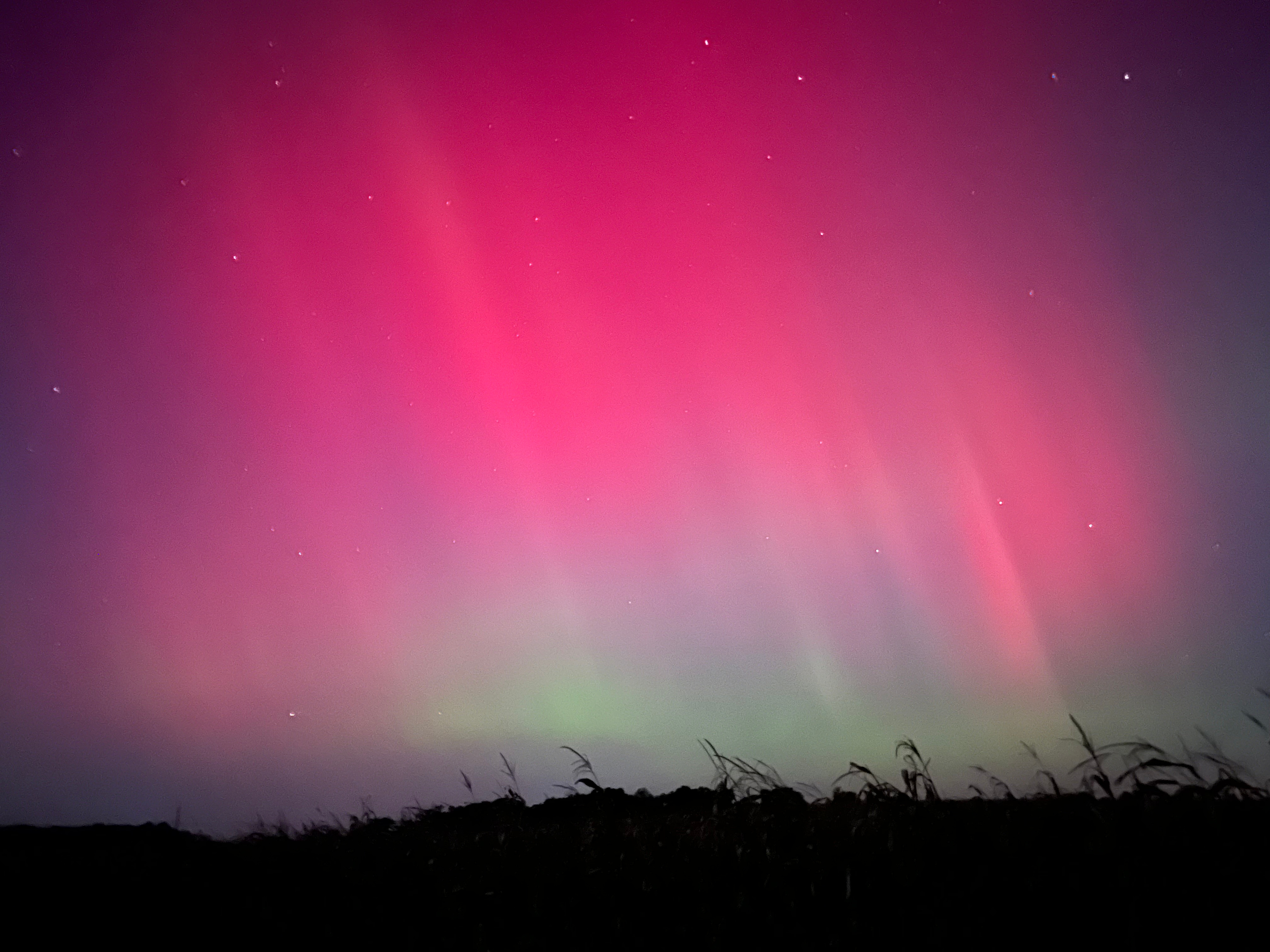 Private & Quiet RV Campsite