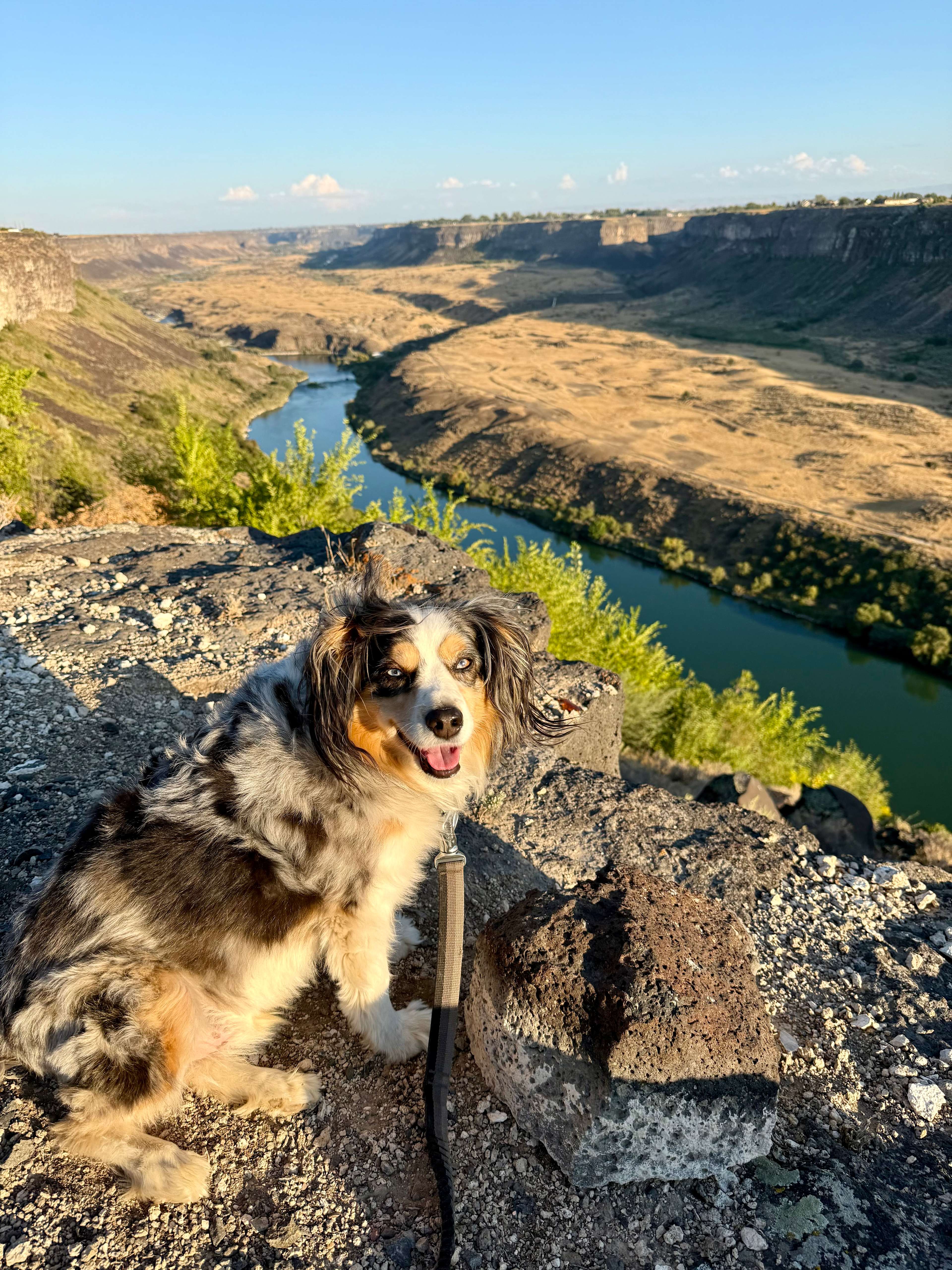 Snake River Canyon Views