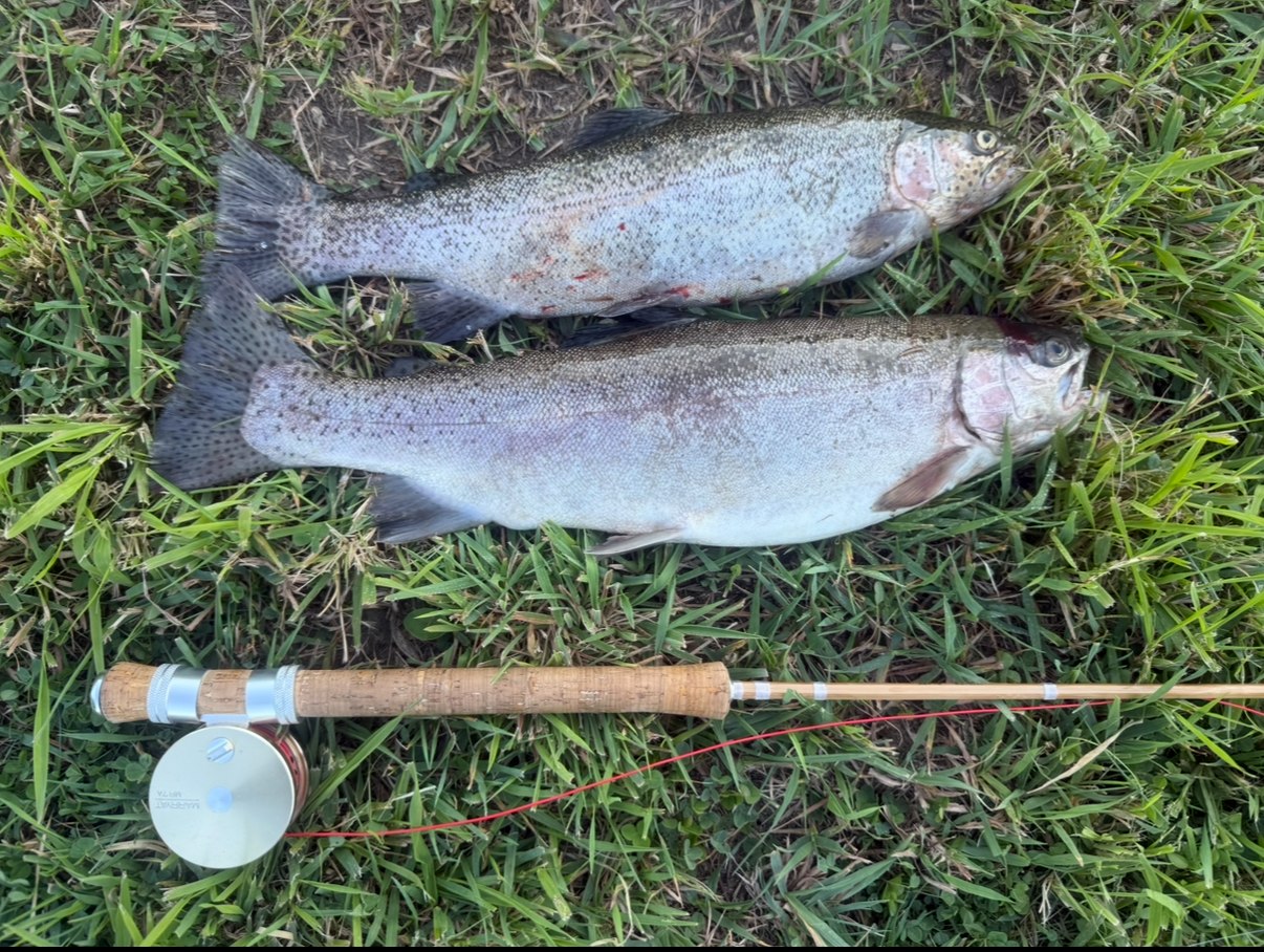 Mountain Hollow Farm and B&B