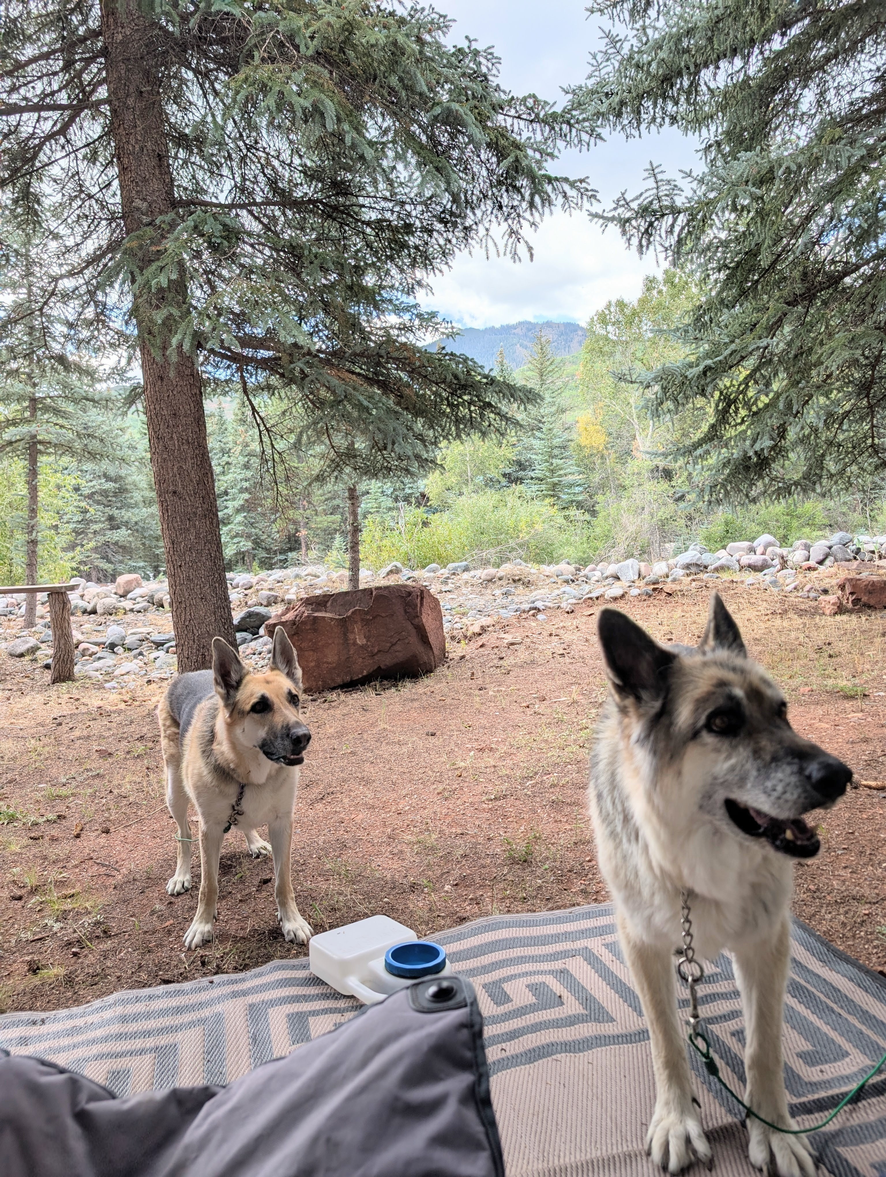 Vallecito Creekside RV Parking