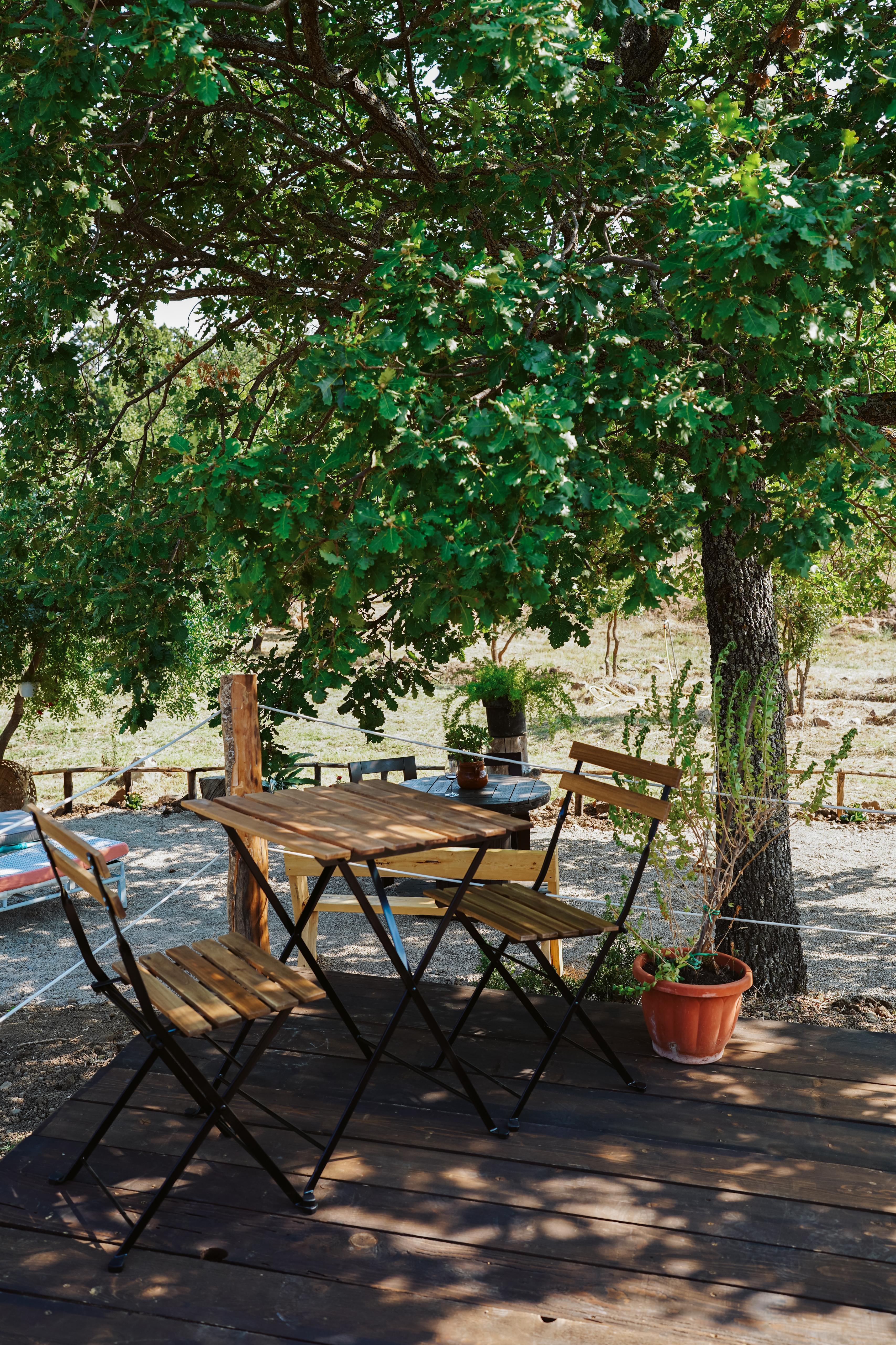 Giardino Museo a Gisa