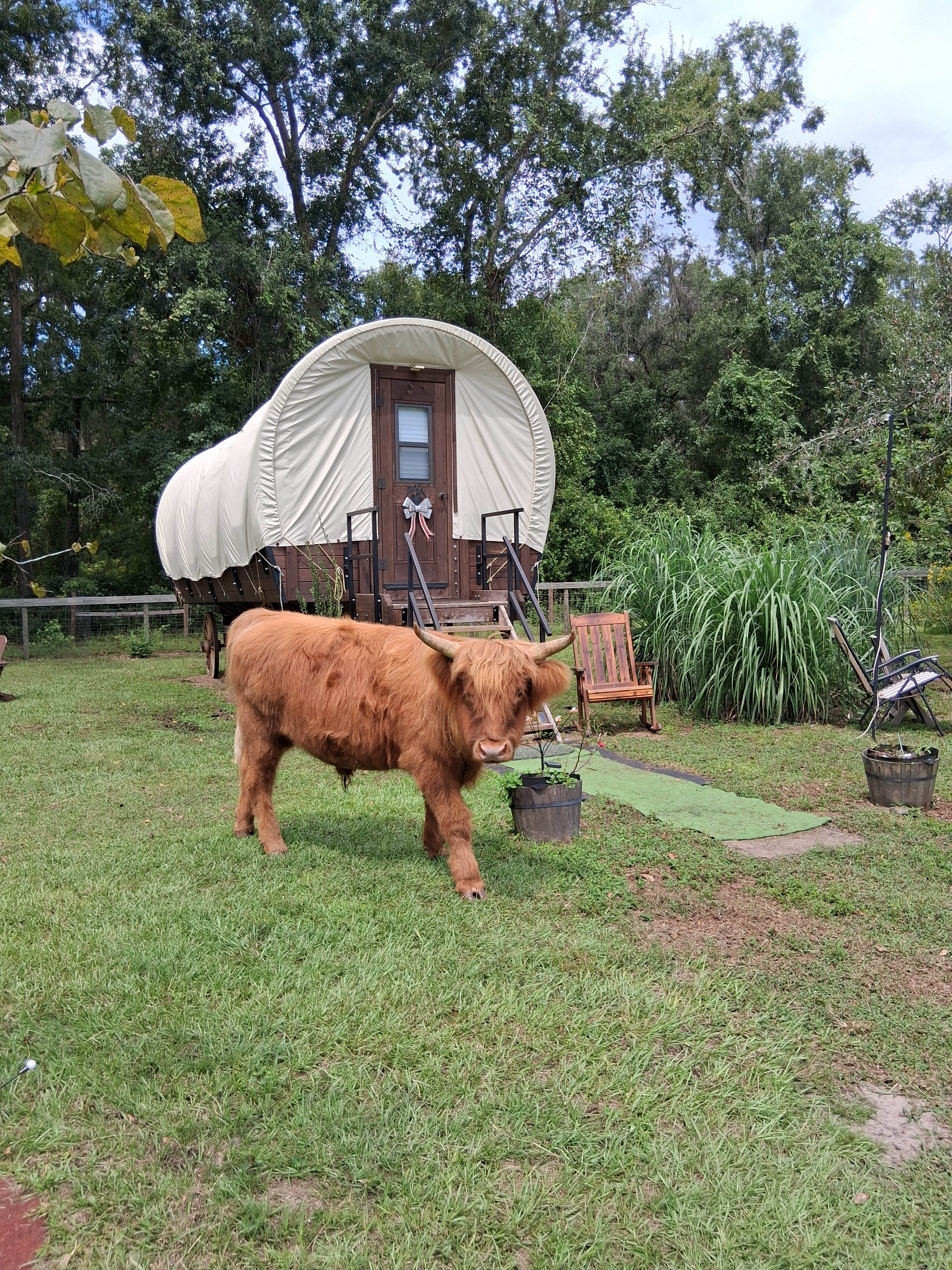 THE Farmstay for Animal Lovers!