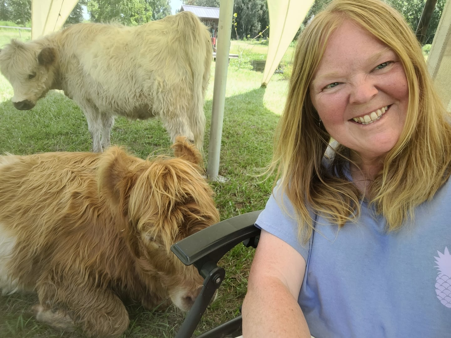 THE Farmstay for Animal Lovers!