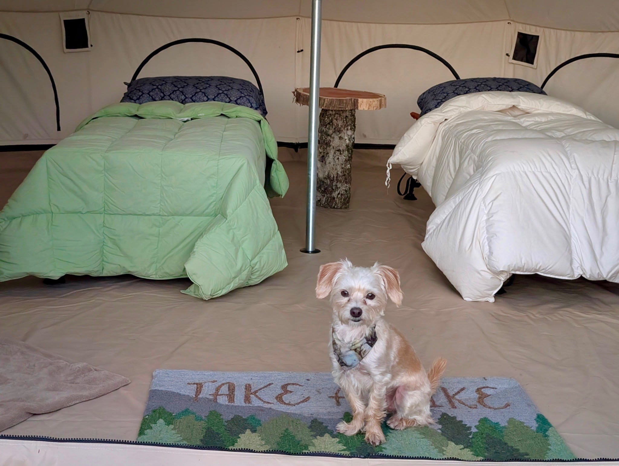 Katahdin Region Basecamp