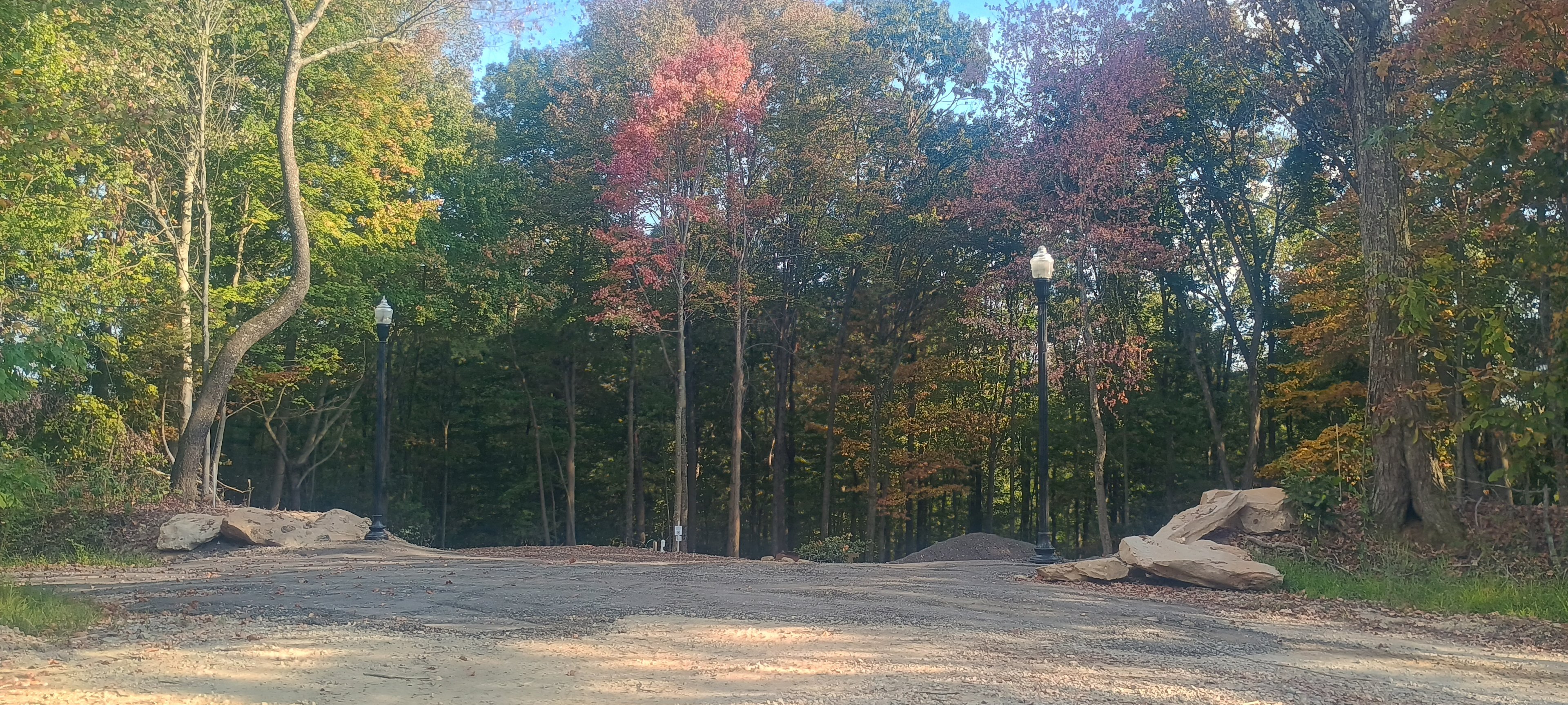 Wild Ridge Campsites