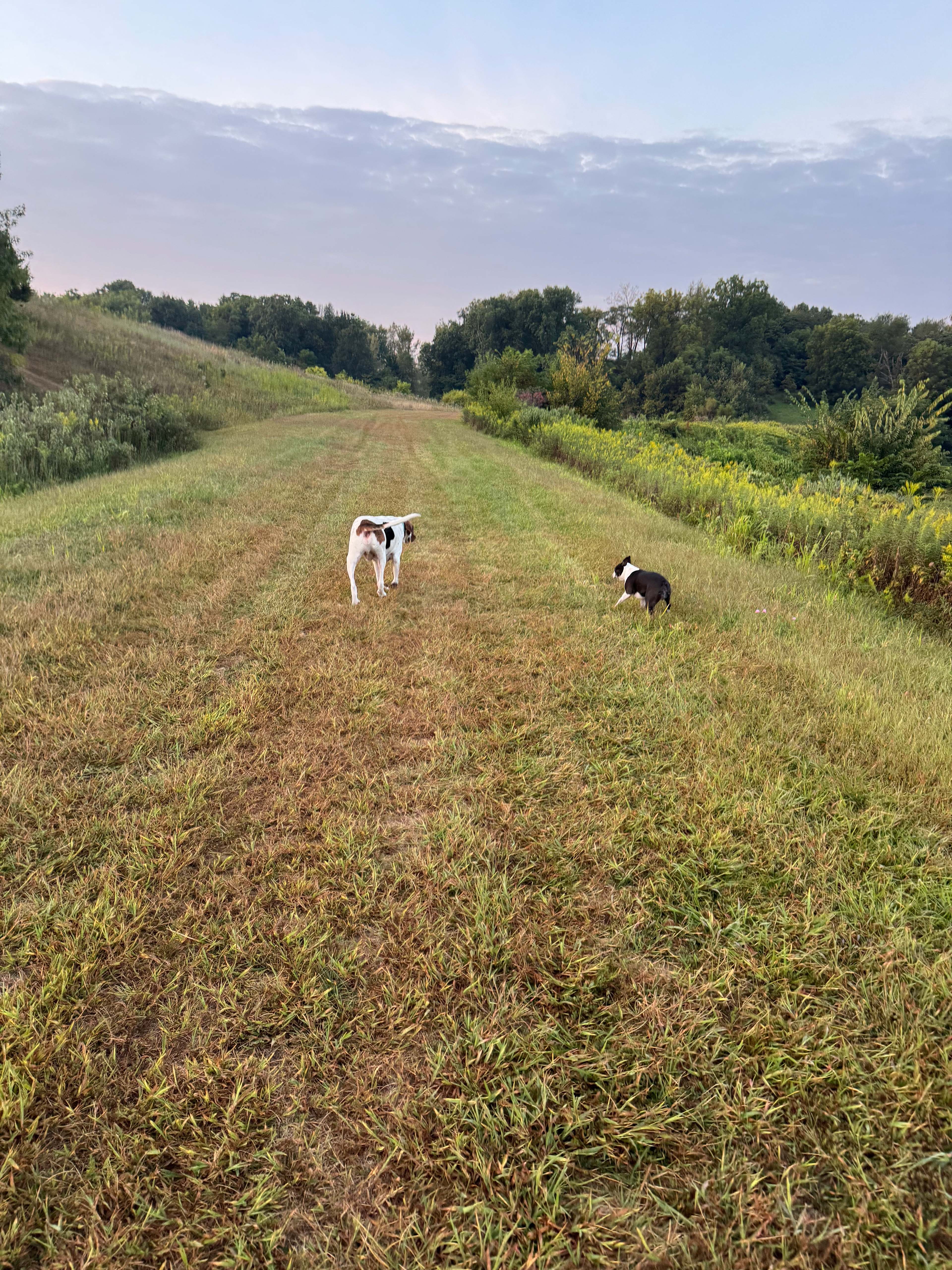 The "Land" - Virginia, Illinois