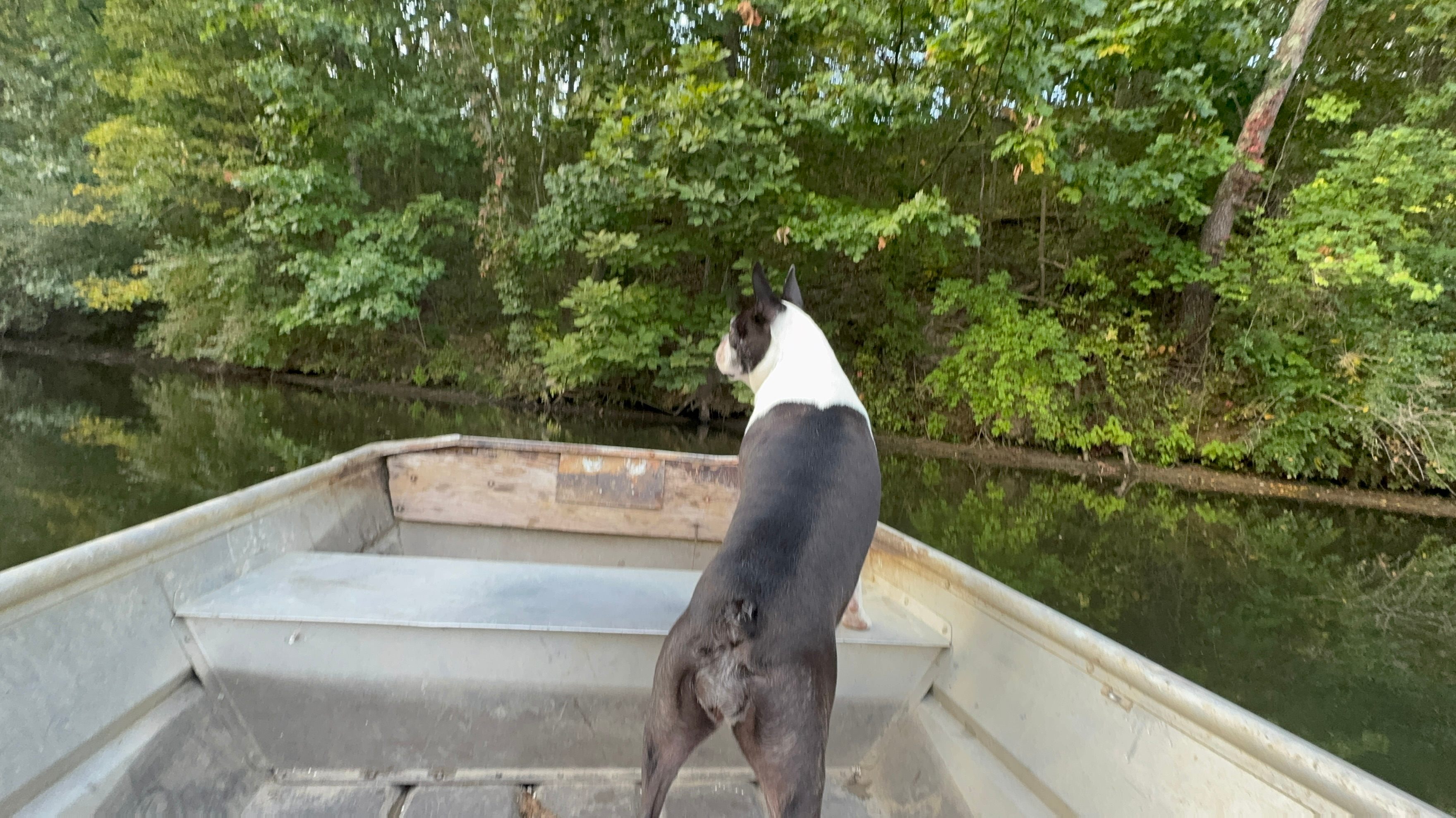 The "Land" - Virginia, Illinois