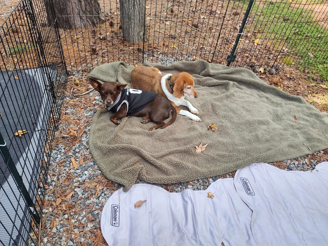 Cross Winds Family Campground