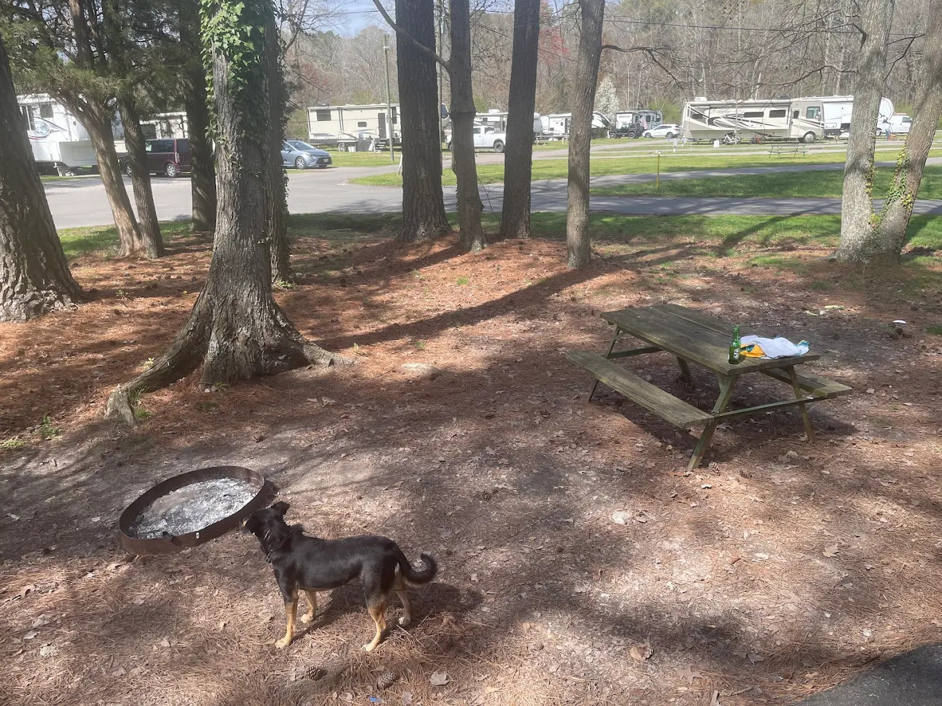 Chesapeake Campground