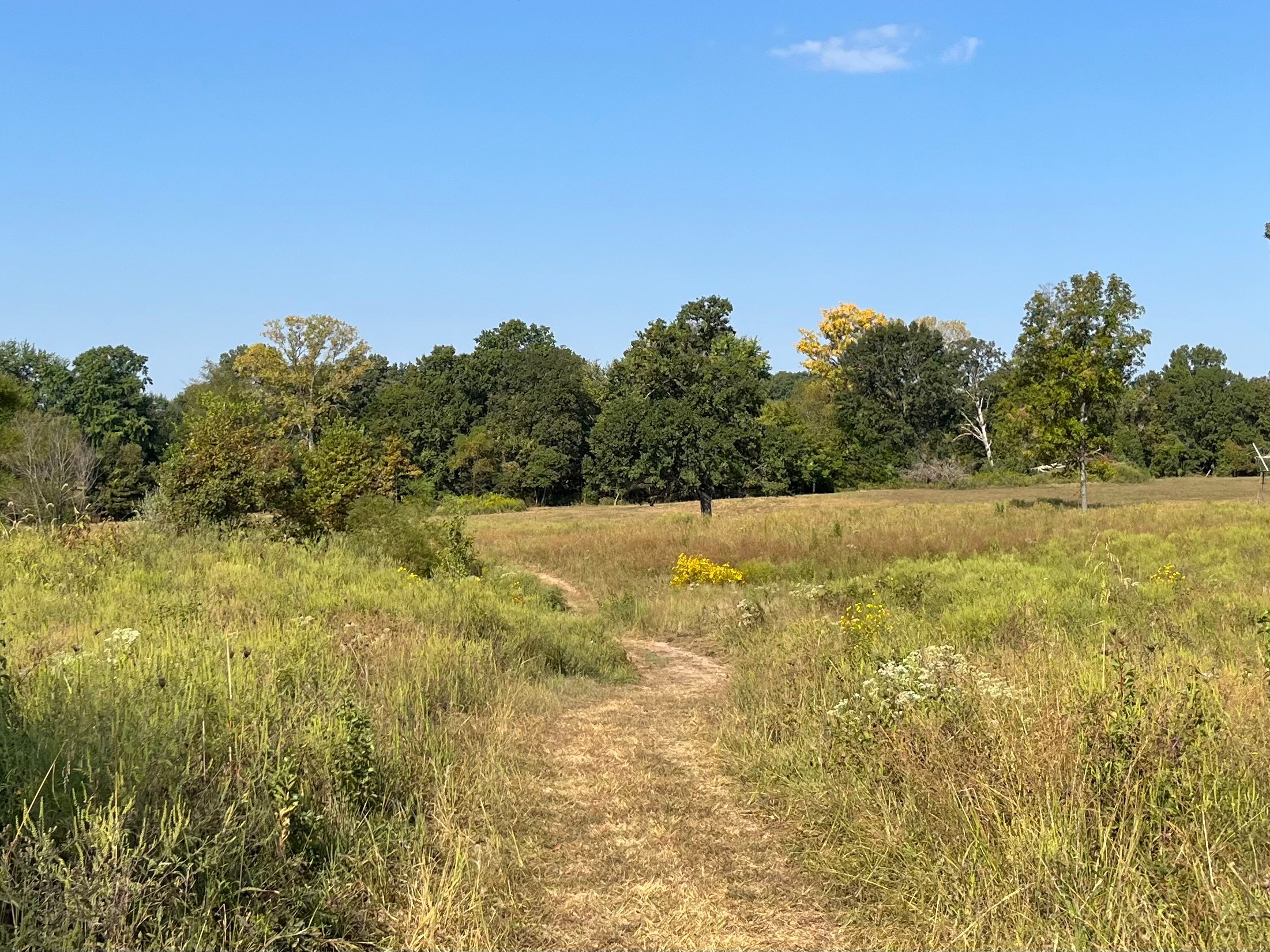Private Walking Paths/ATV Trails.