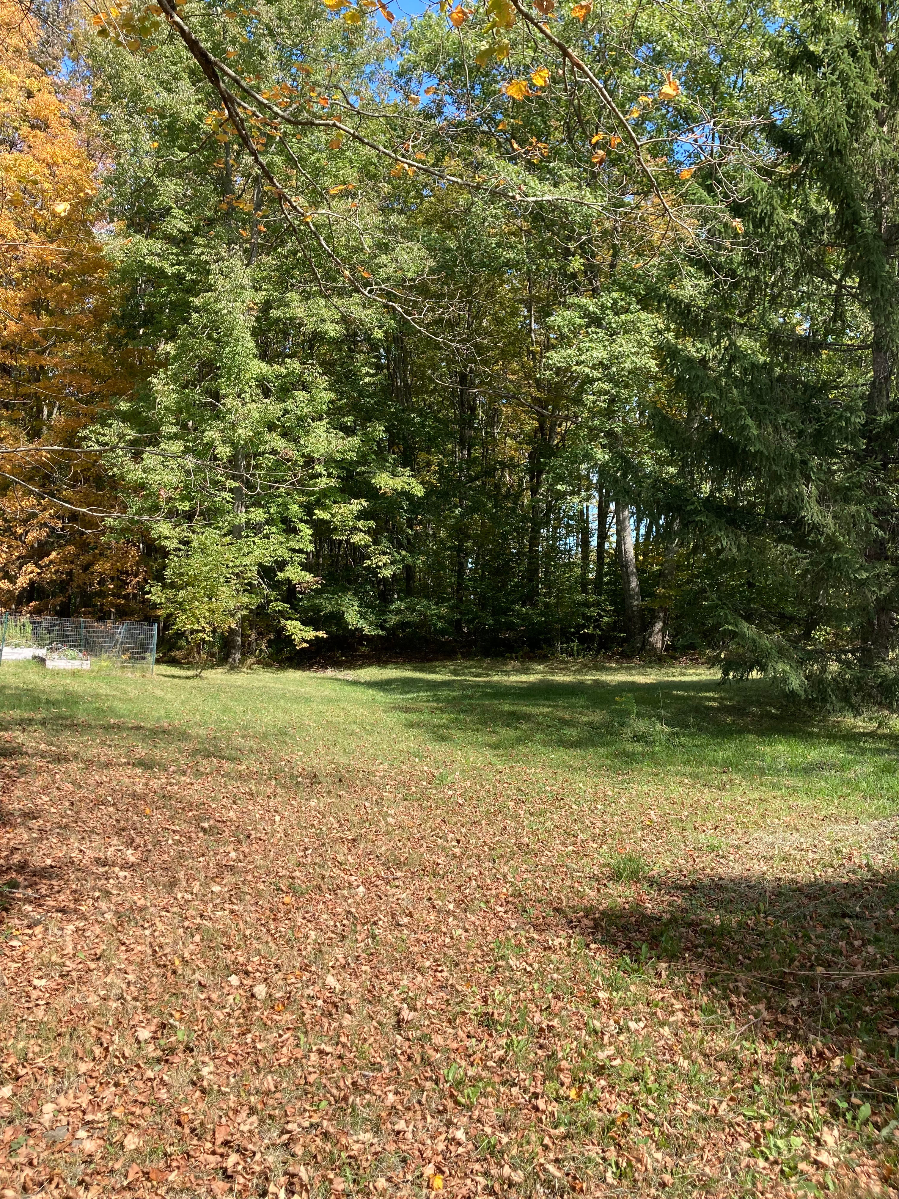 Serenity in Strafford