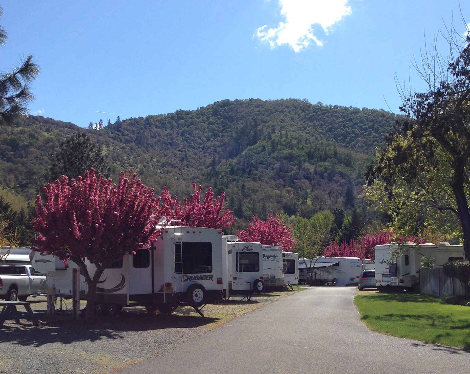 Cypress Grove RV Park