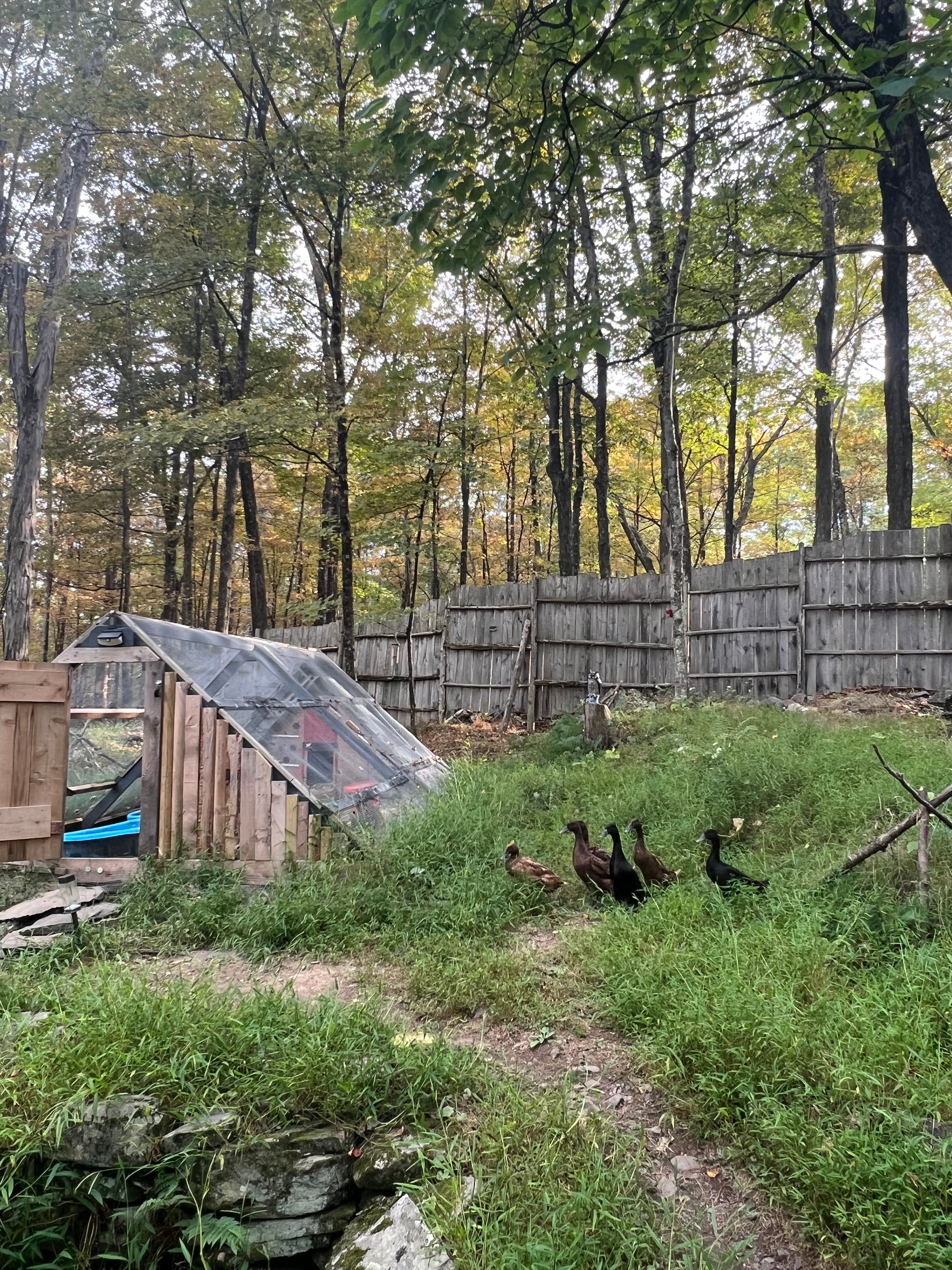 Duck Homestead 20 mins from Gunks