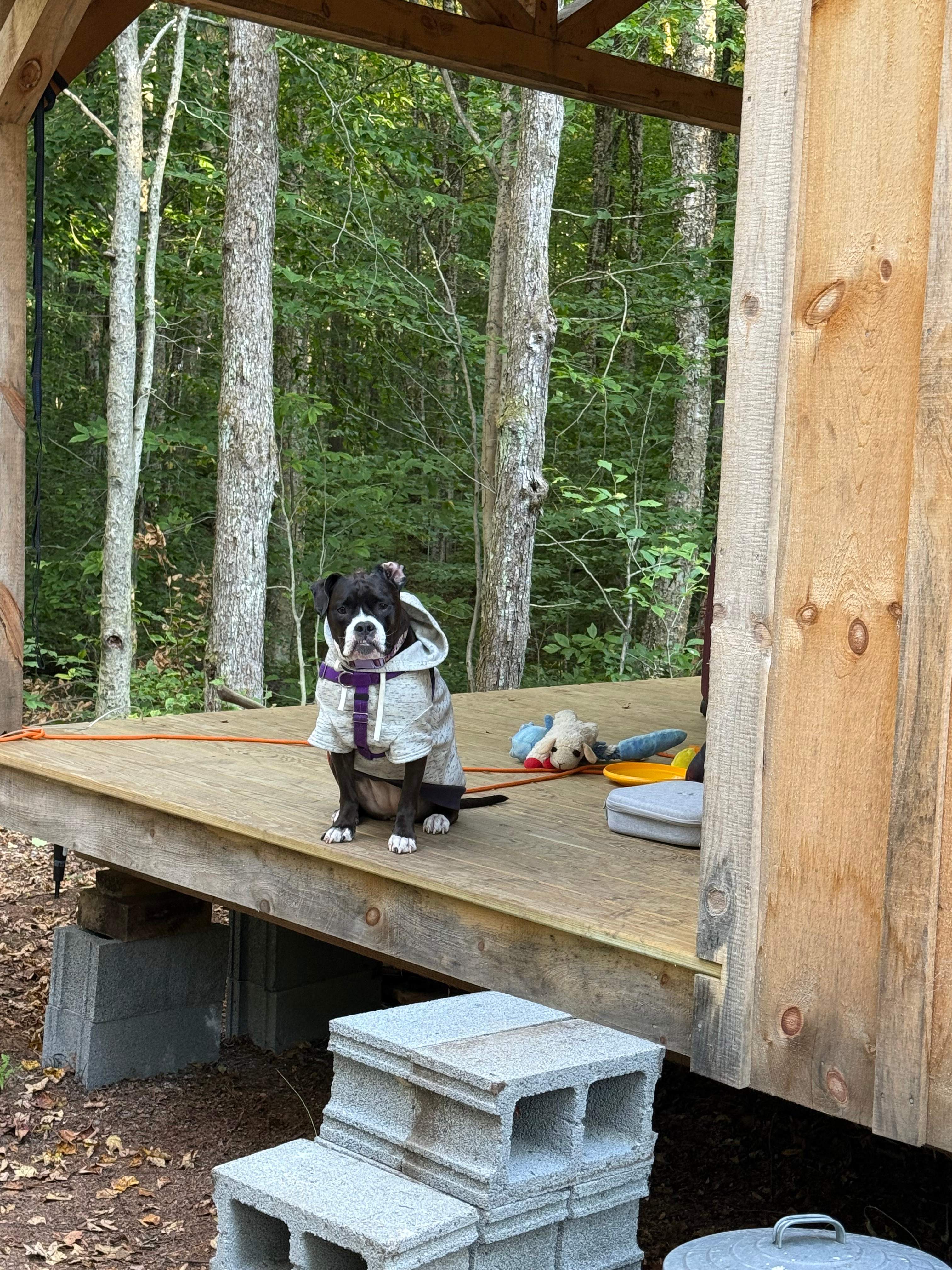 Reflections Homestead