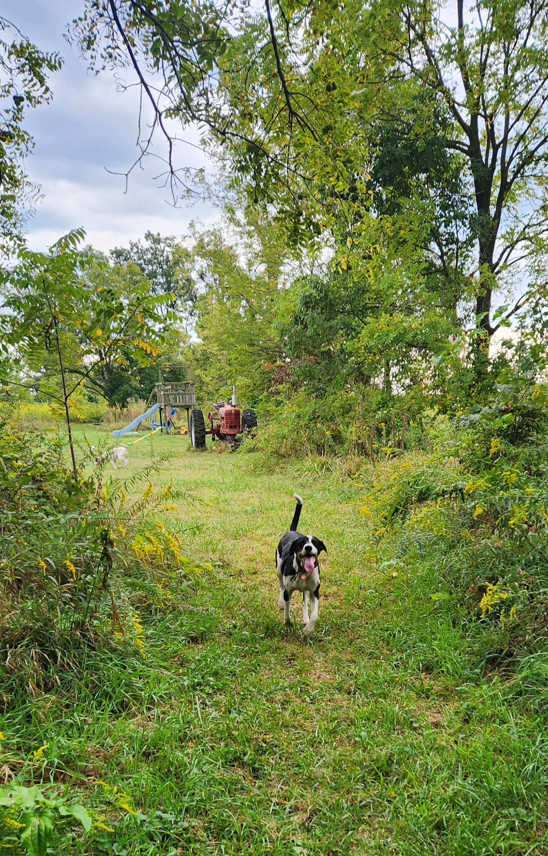 Powers Farm Camp Site