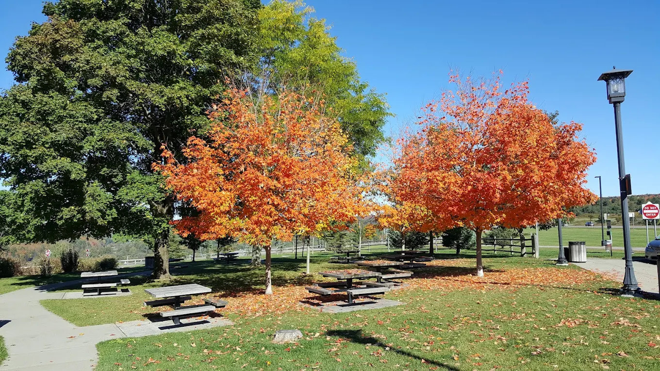 Lighthouse Landing Campground