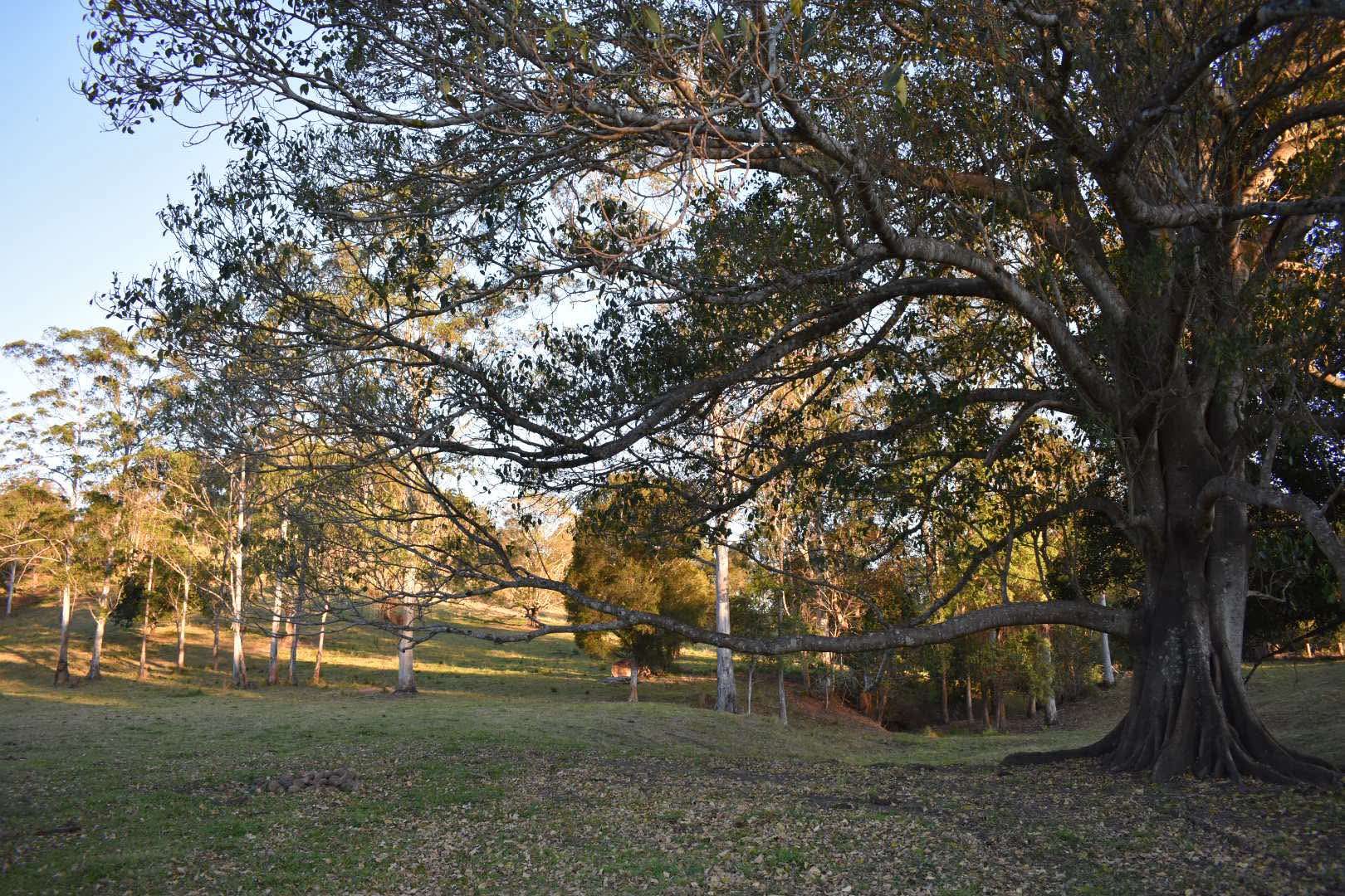 The Hills - Stony Creek Camp