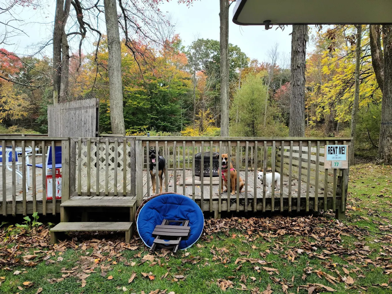 Lizard Creek Campground, Inc