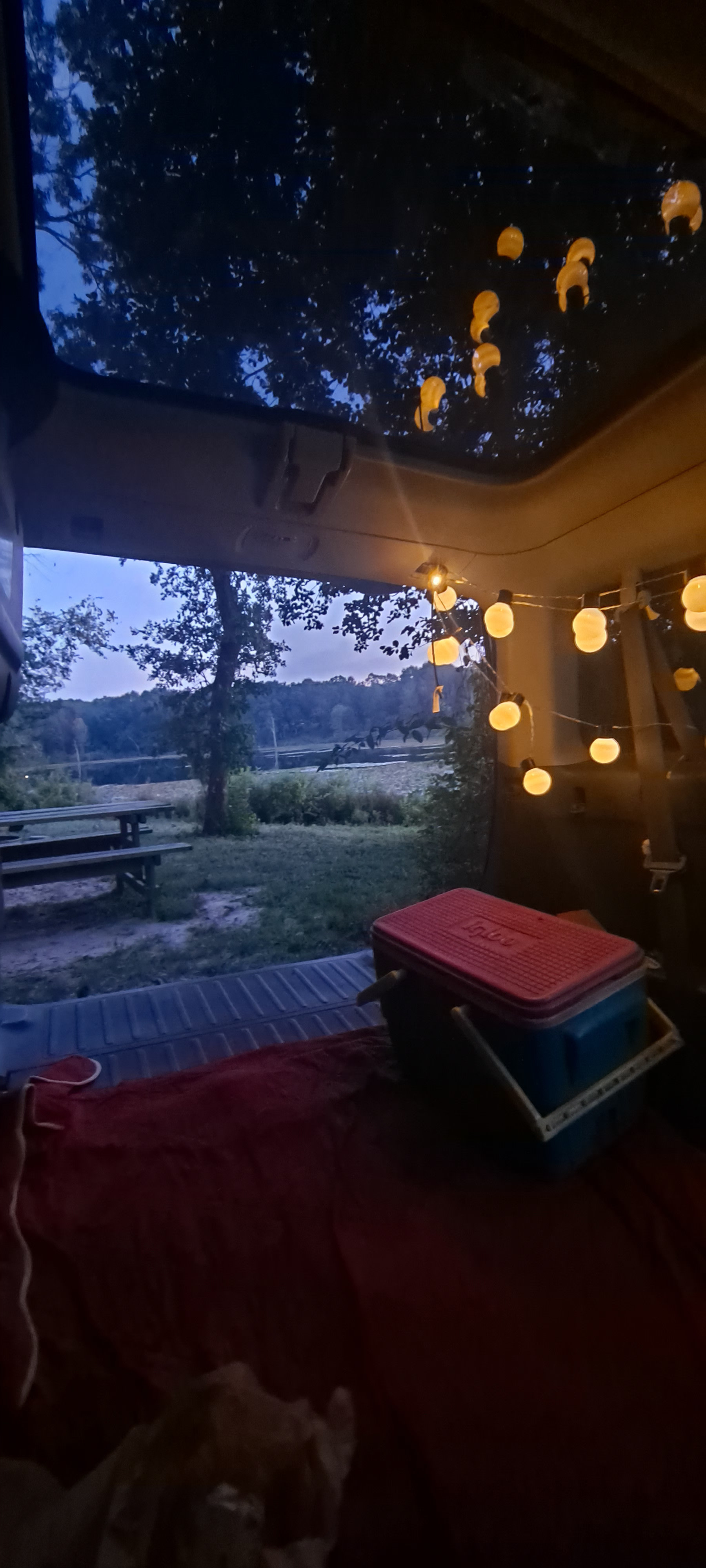 Daffodil Hill Homestead