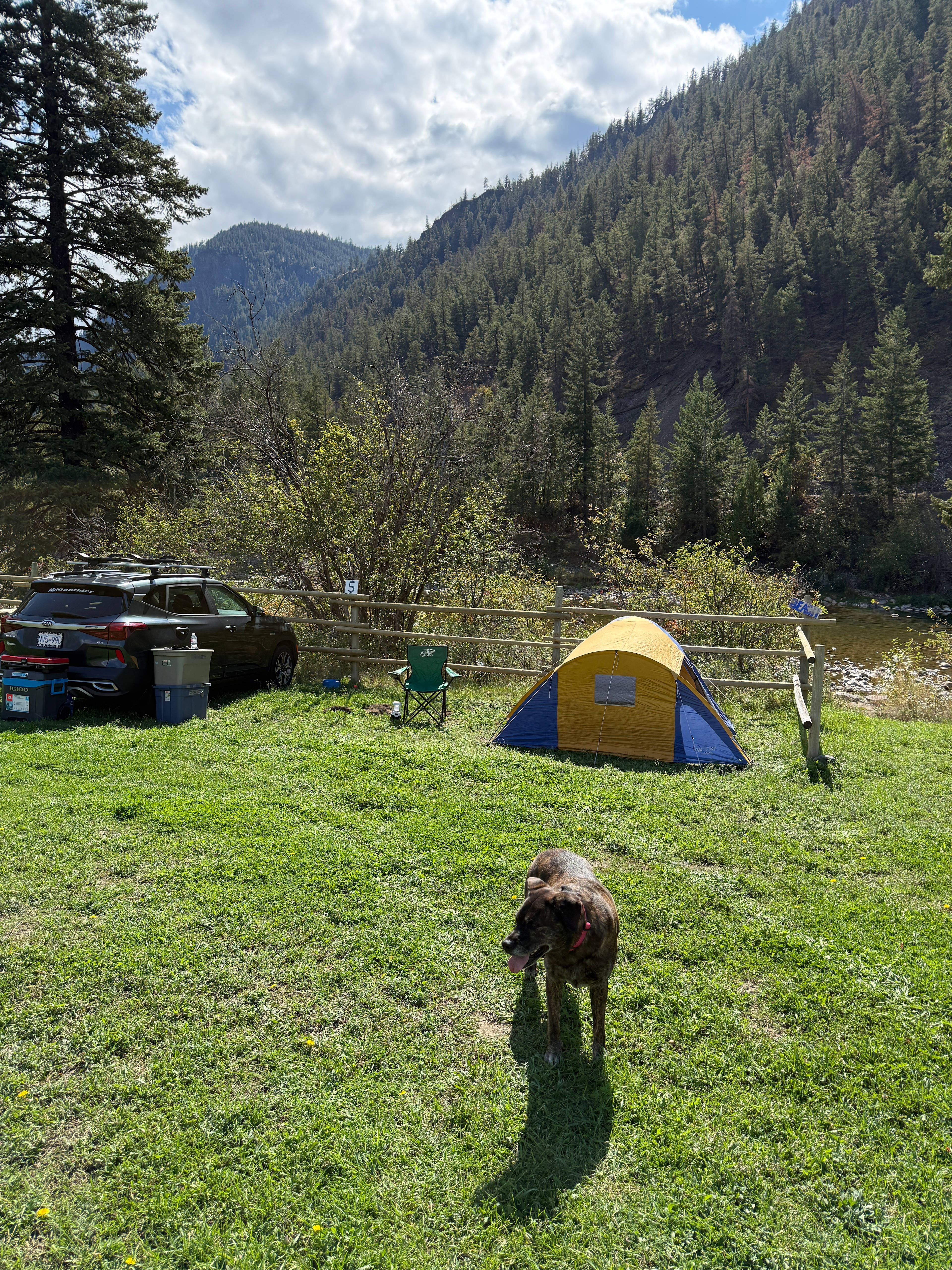 Lazy River Camping