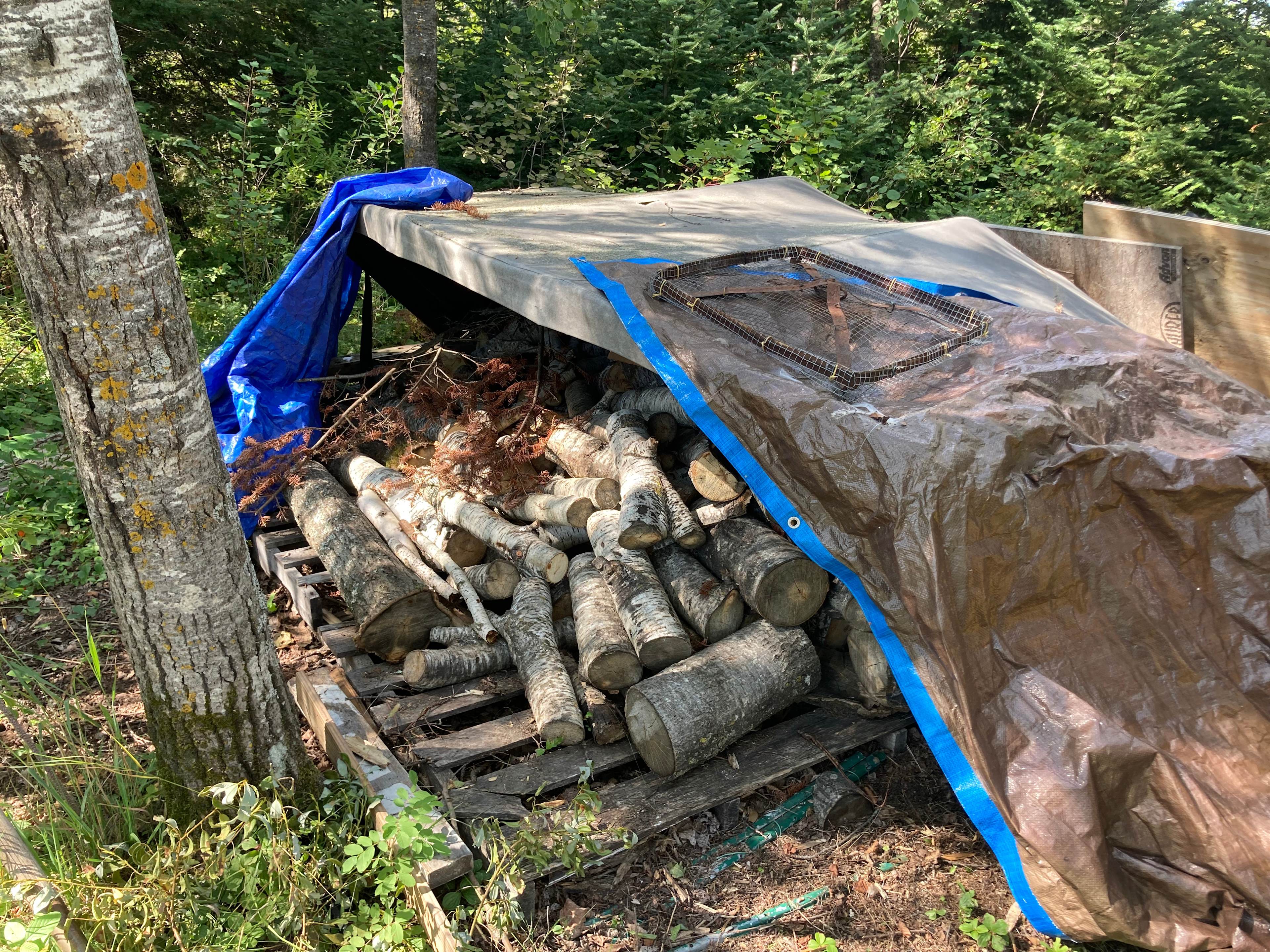 Vaddu's Nature Reserve