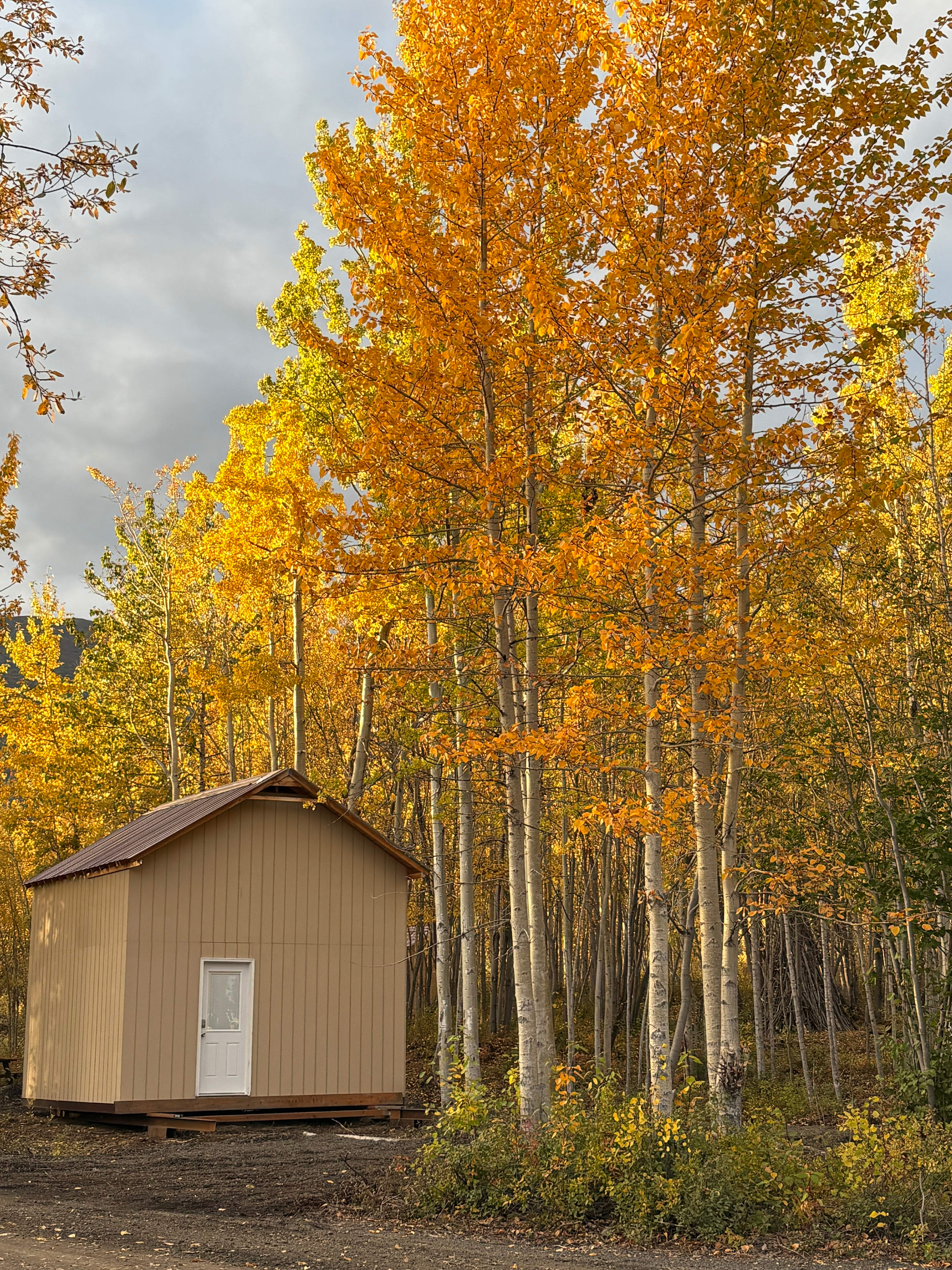 Pinochle Trail Campground