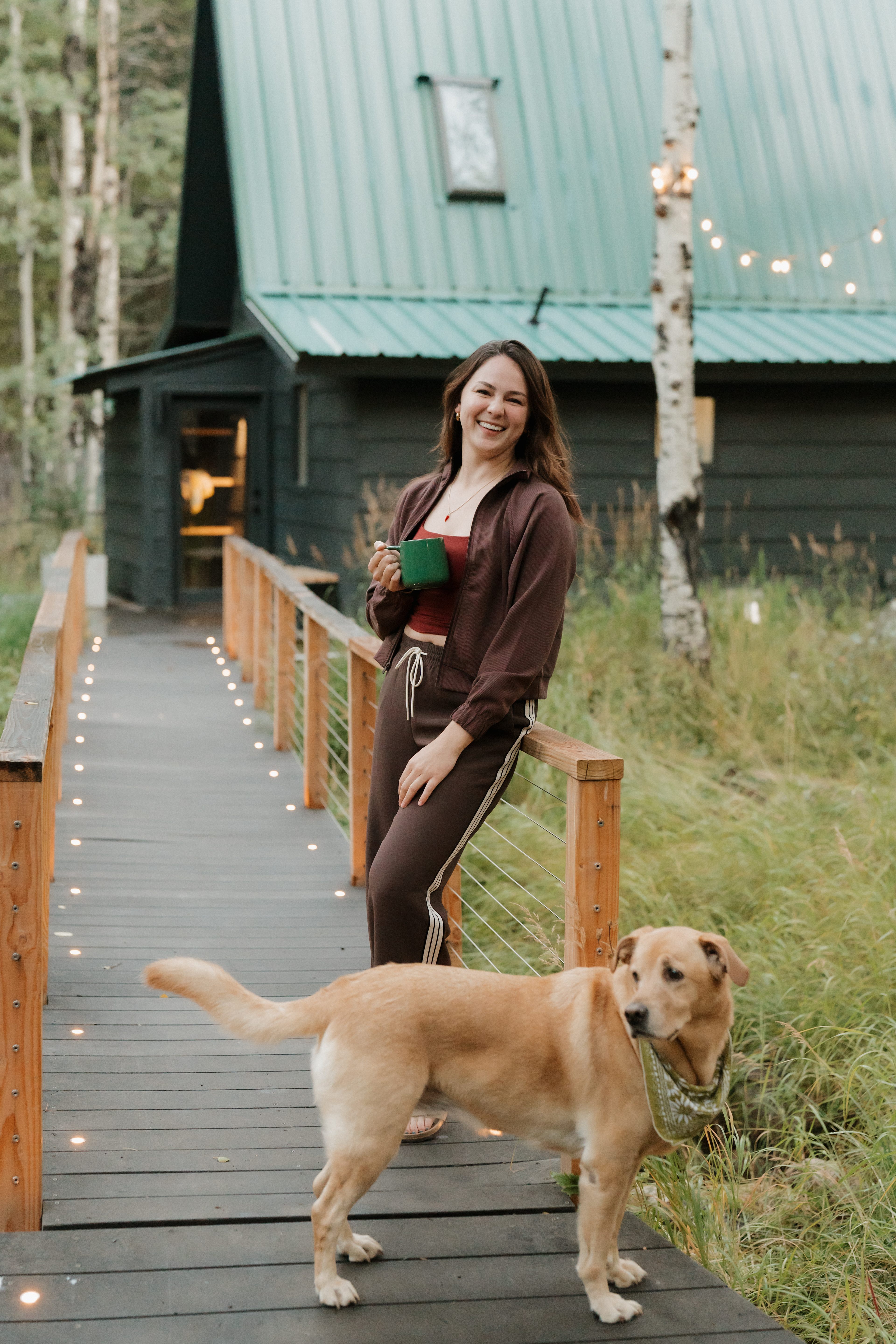 Aspen Forest in Evergreen Colorado