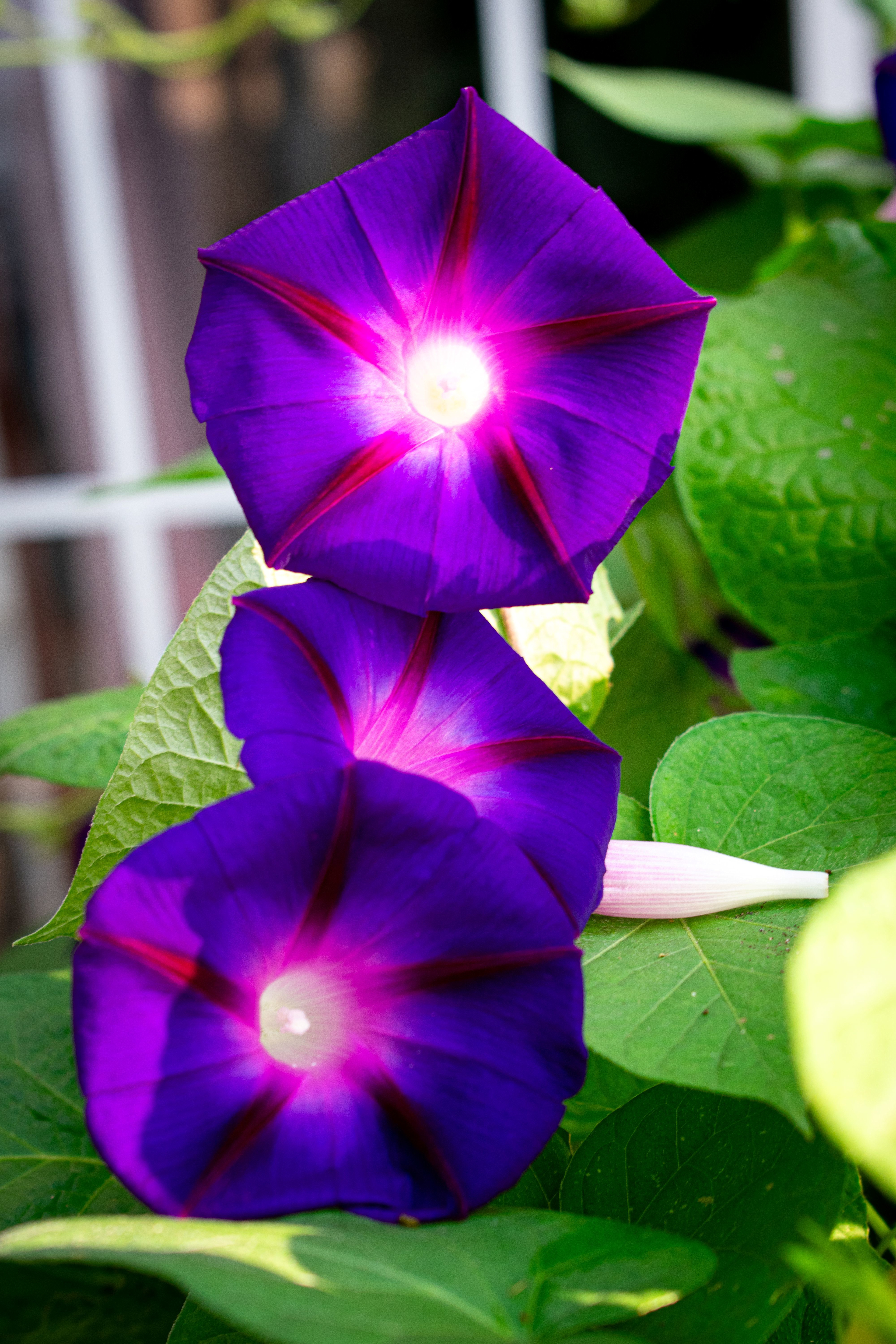 Lake Road Landing RV Park