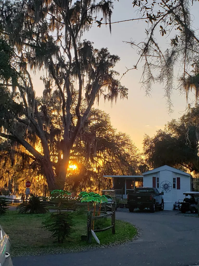 Elite Resorts at Salt Springs