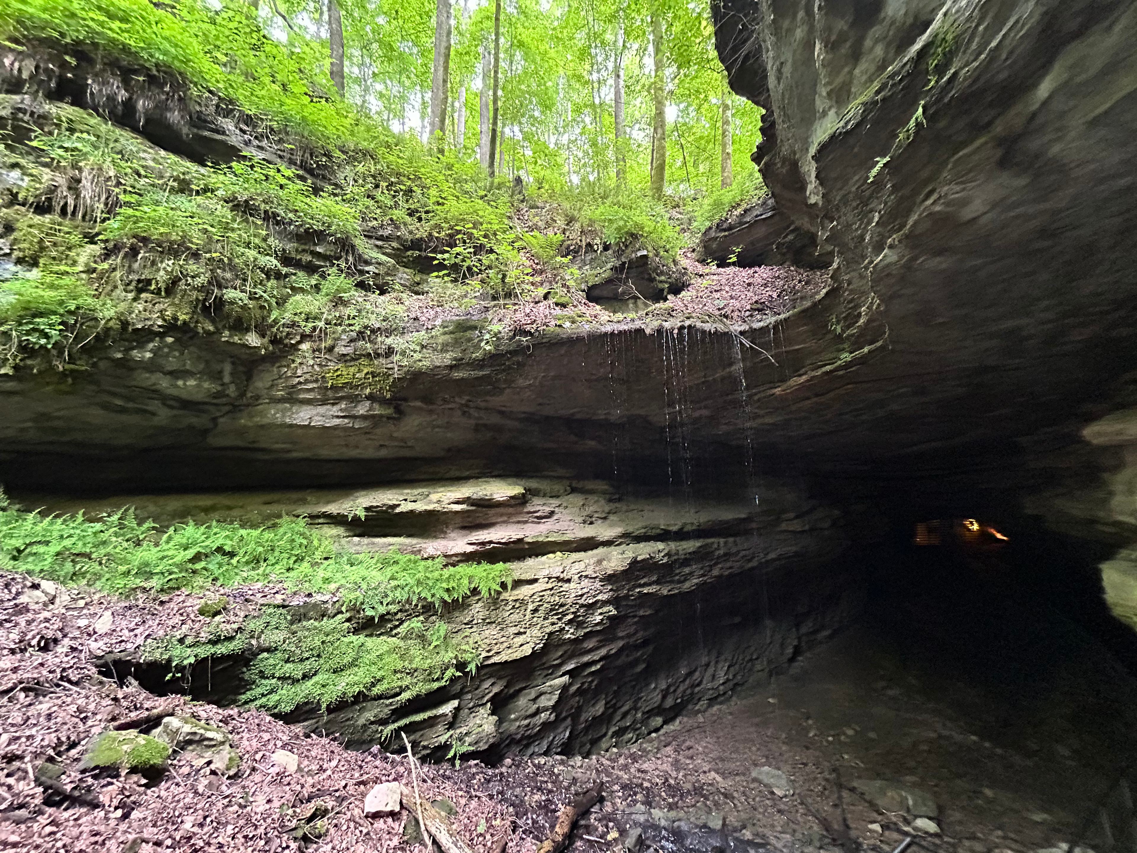 Mammoth Cave National Park