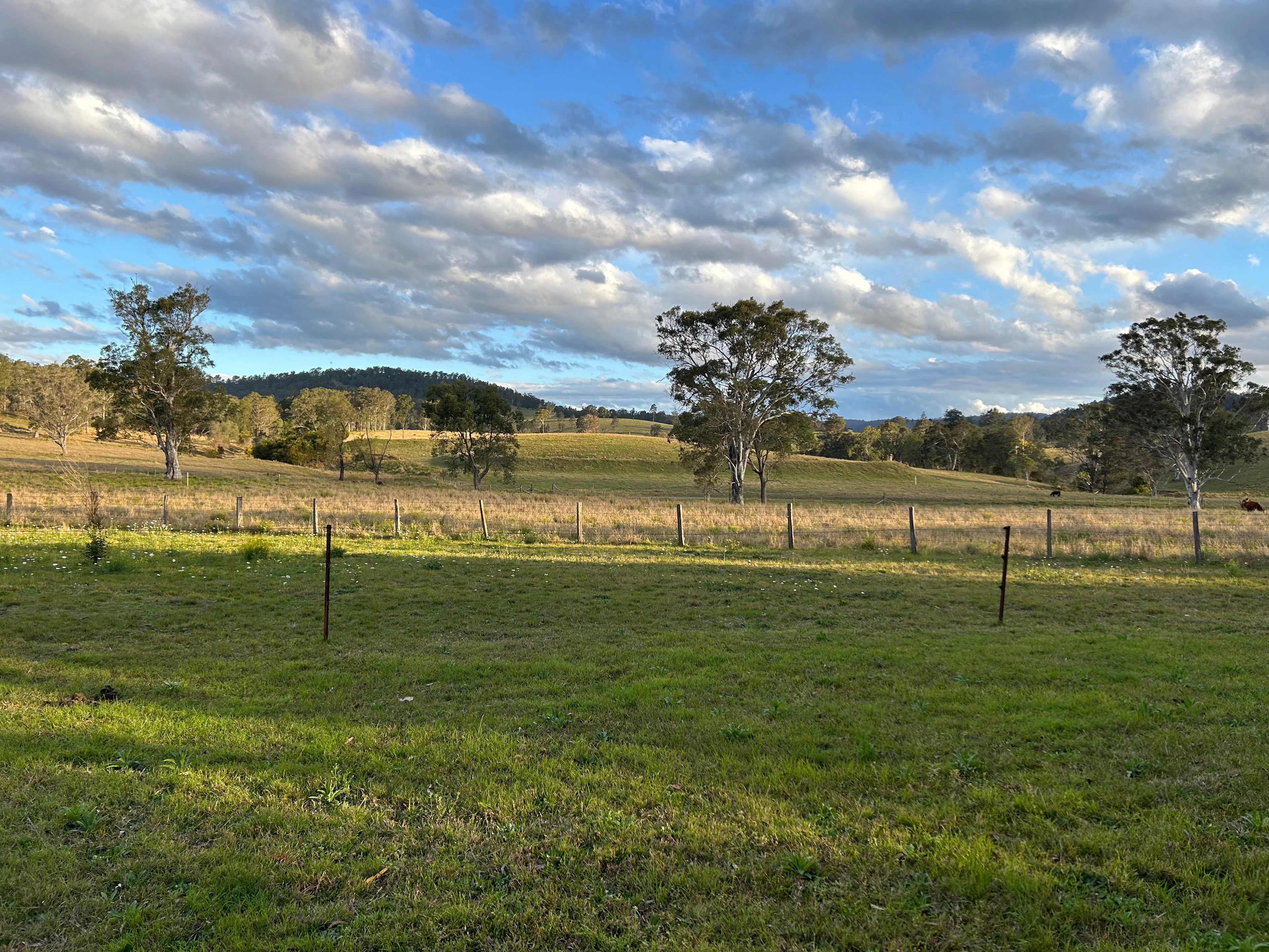 Wirrgilga River Bend