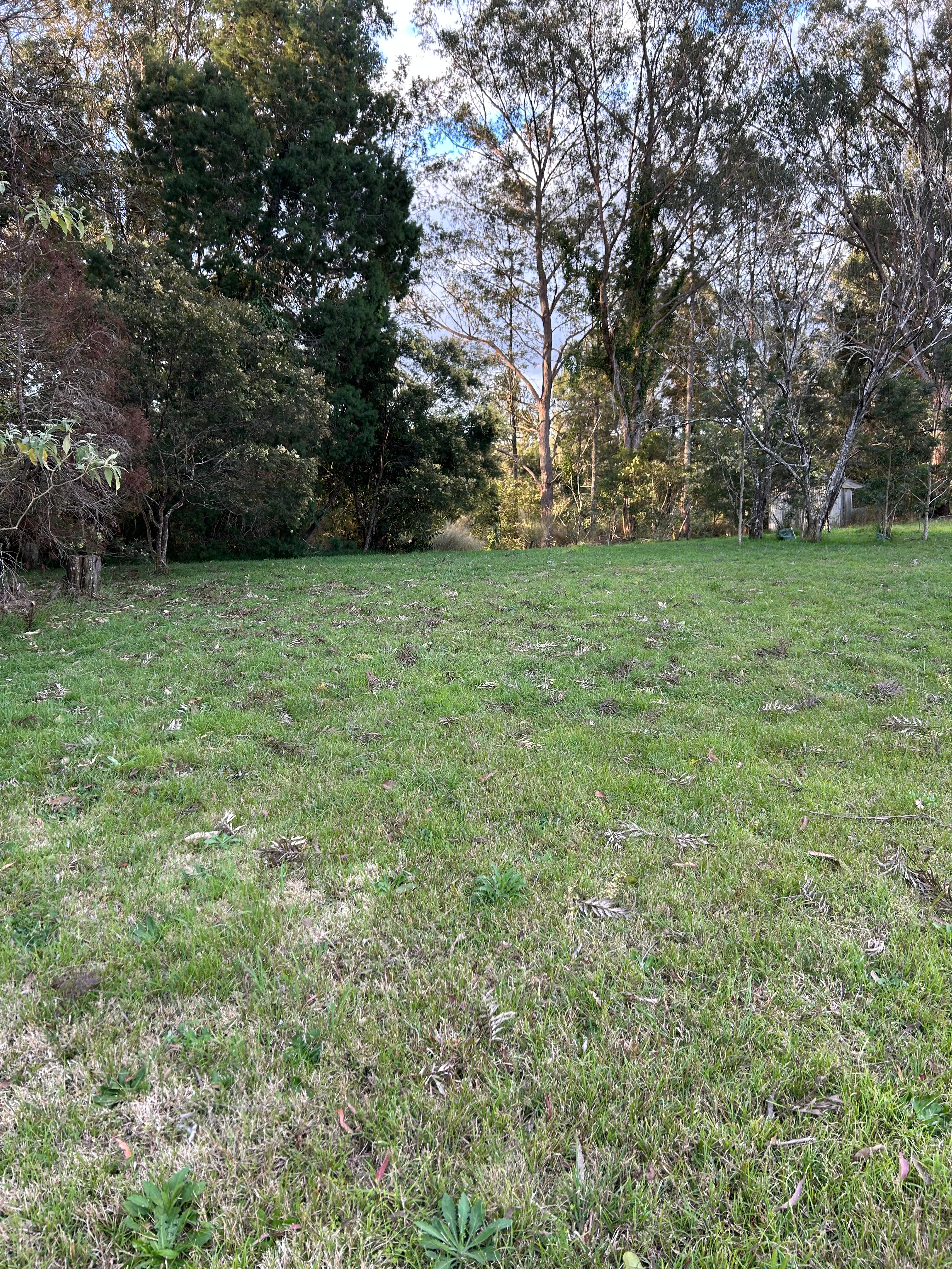 Wirrgilga River Bend