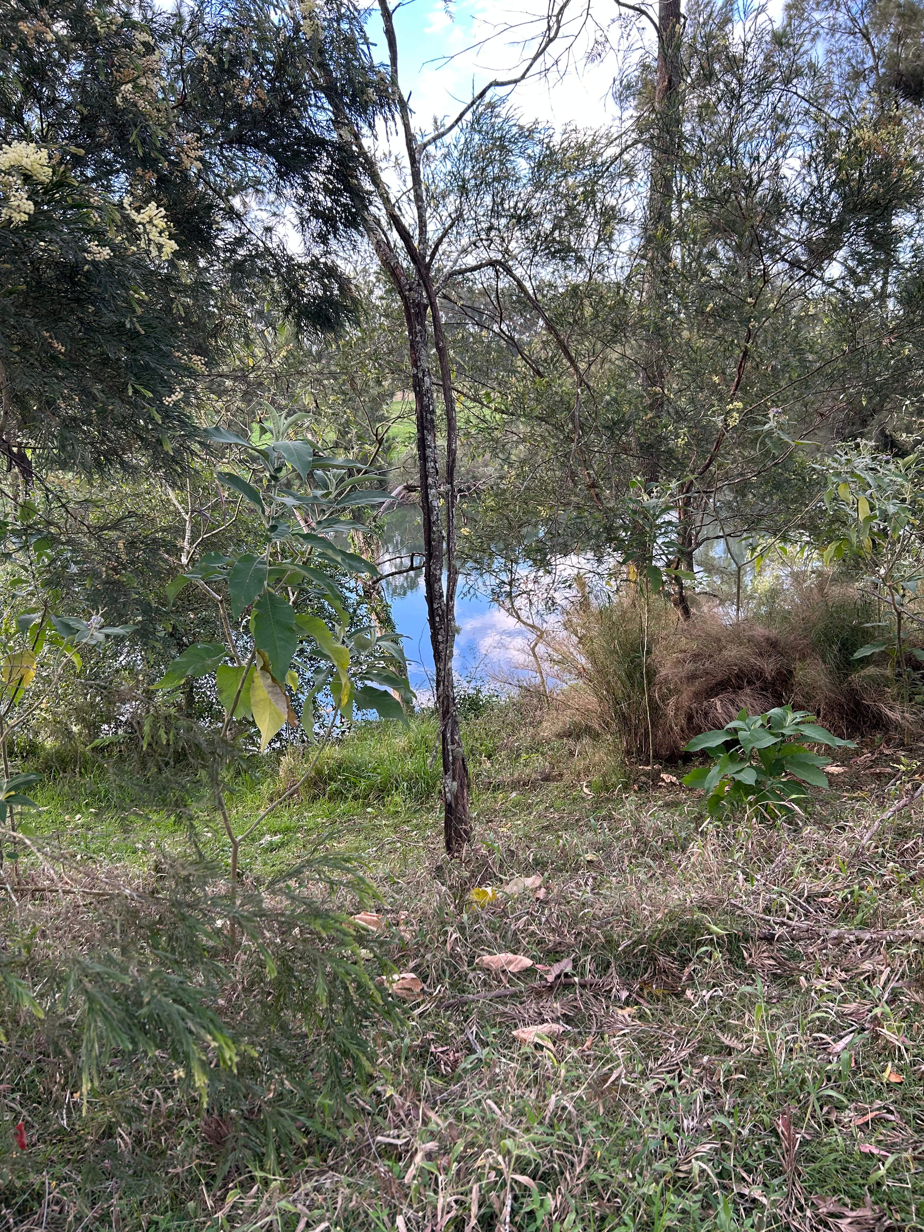 Wirrgilga River Bend