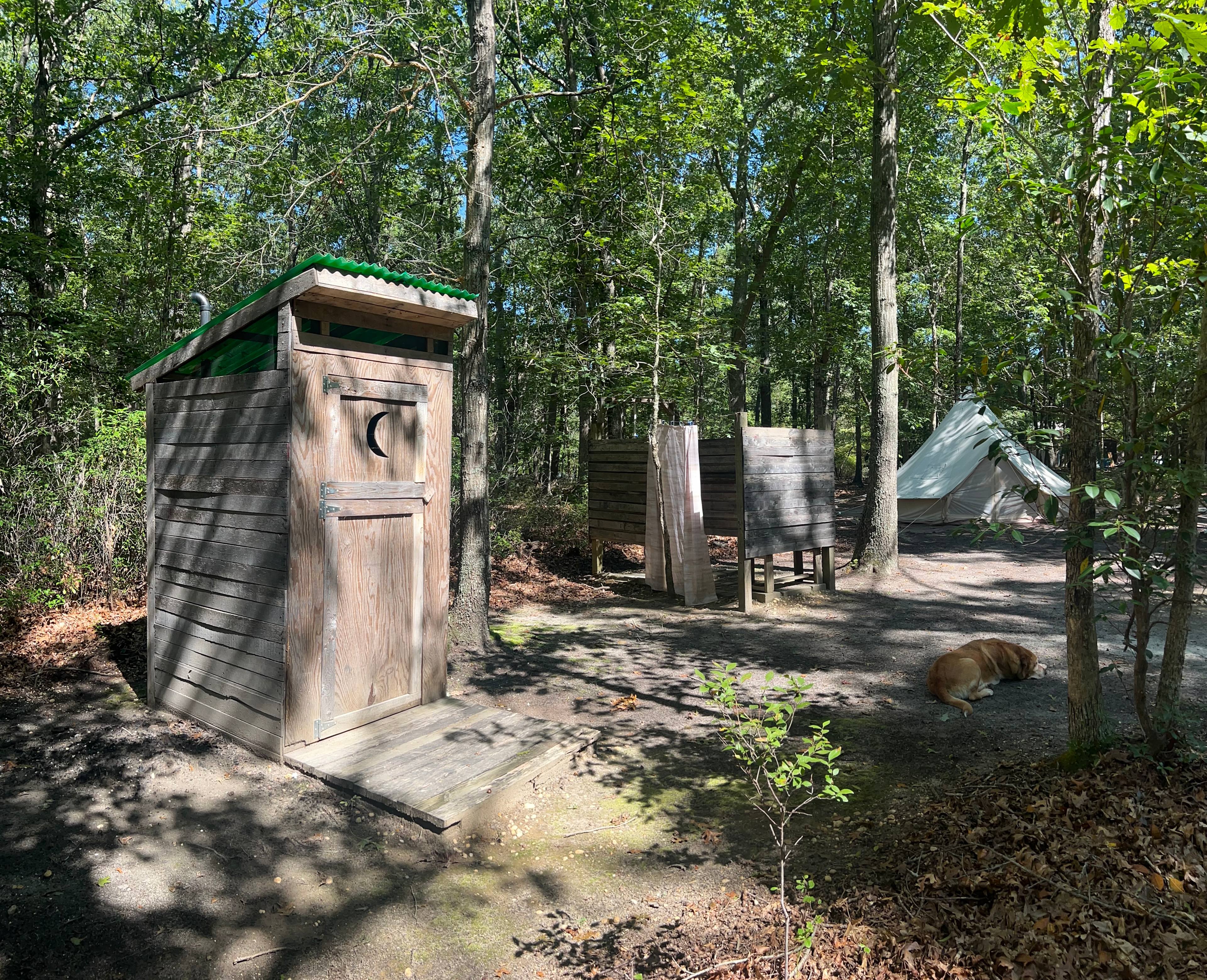 Glamping In The Woods