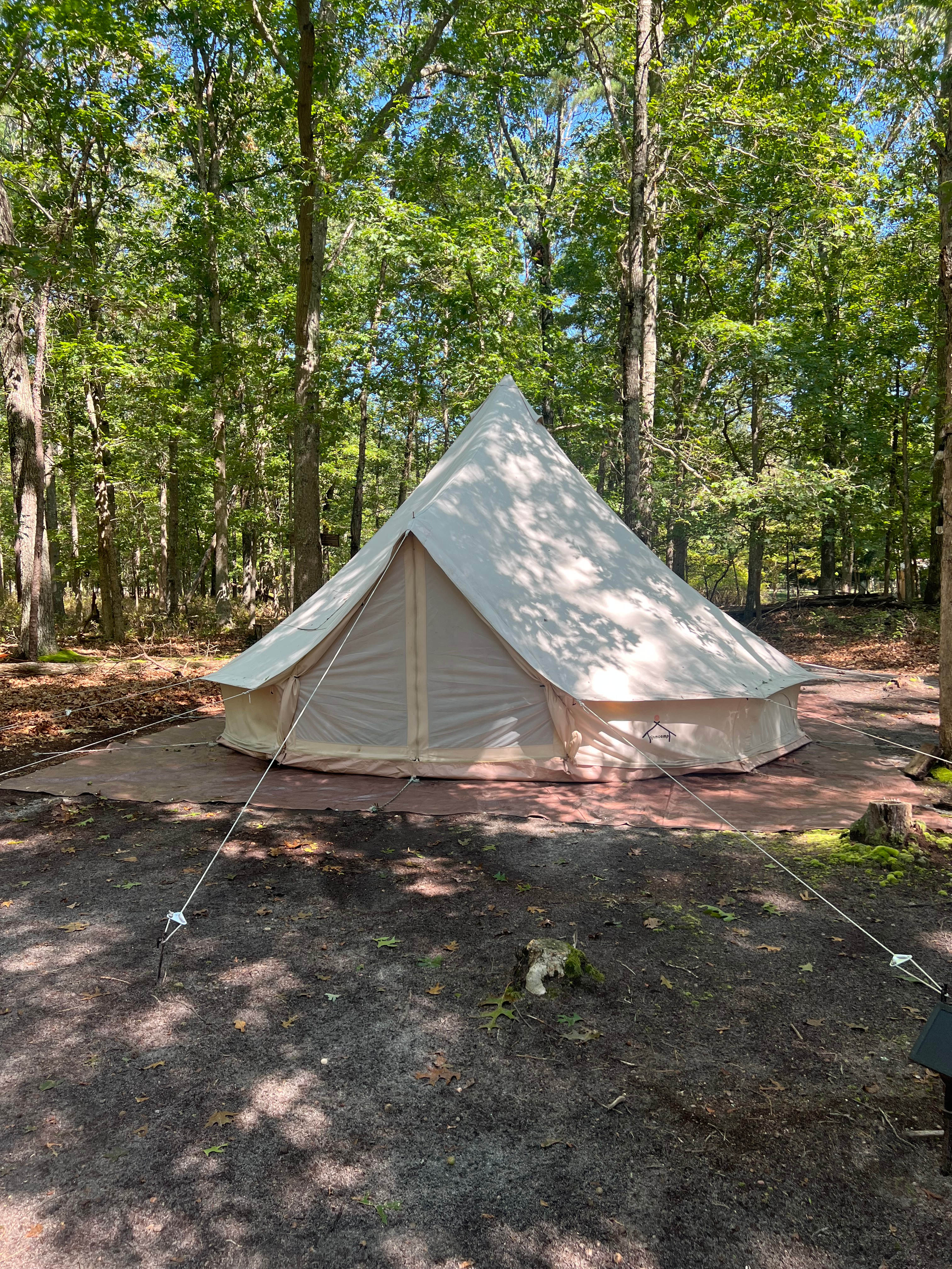 Glamping In The Woods