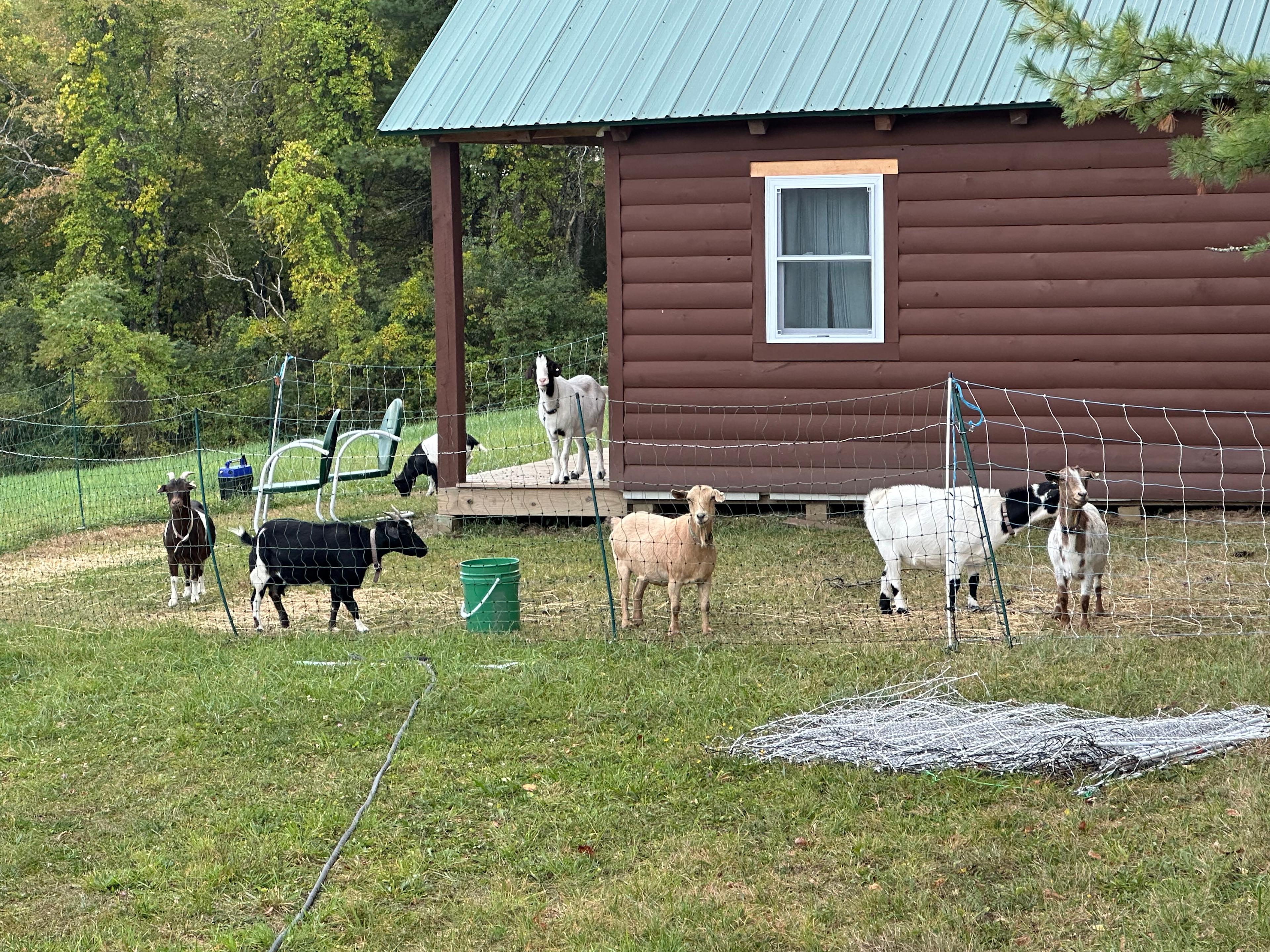 Mount Sunapee State Park