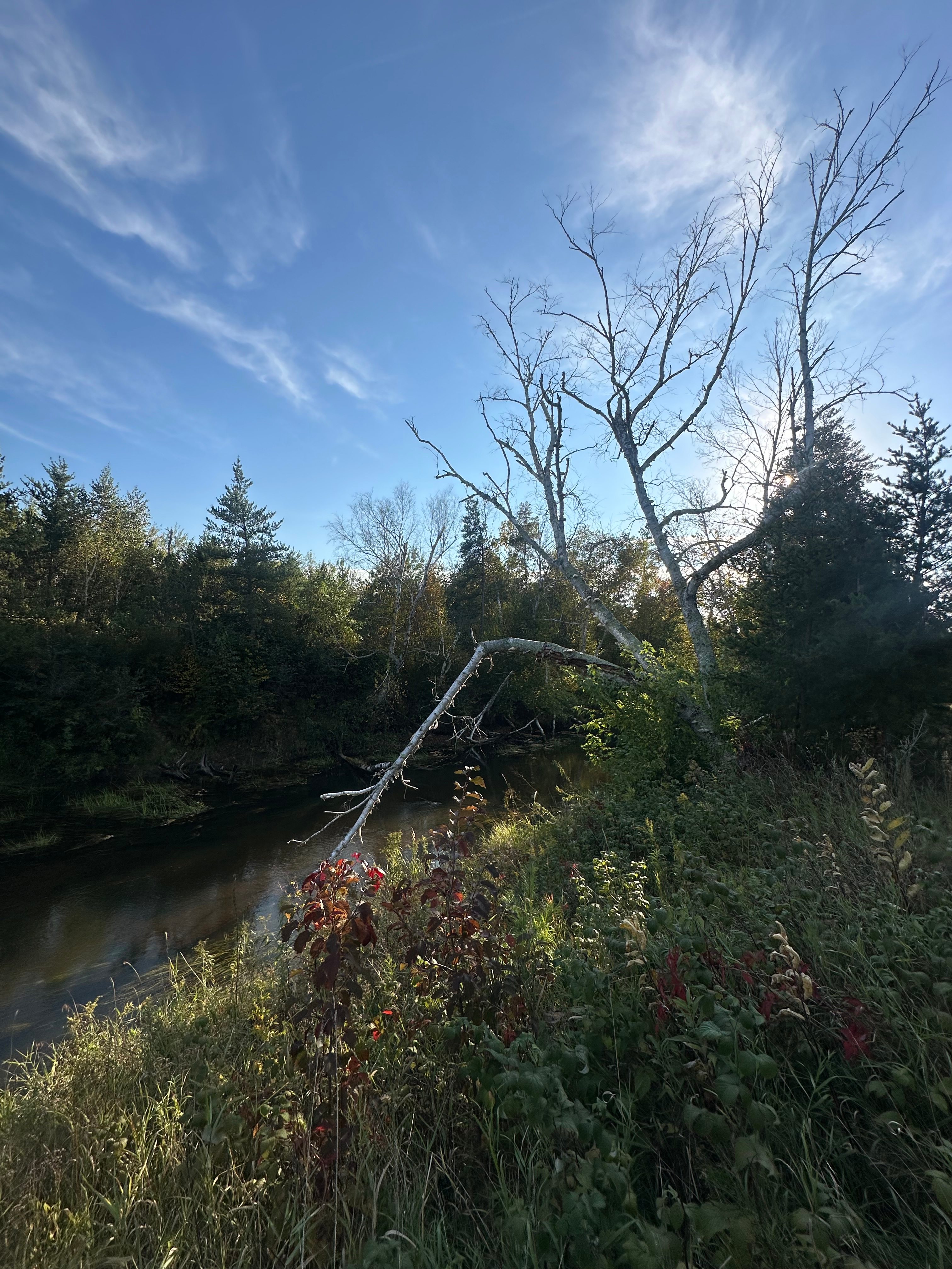 The Hoffman Hideaway