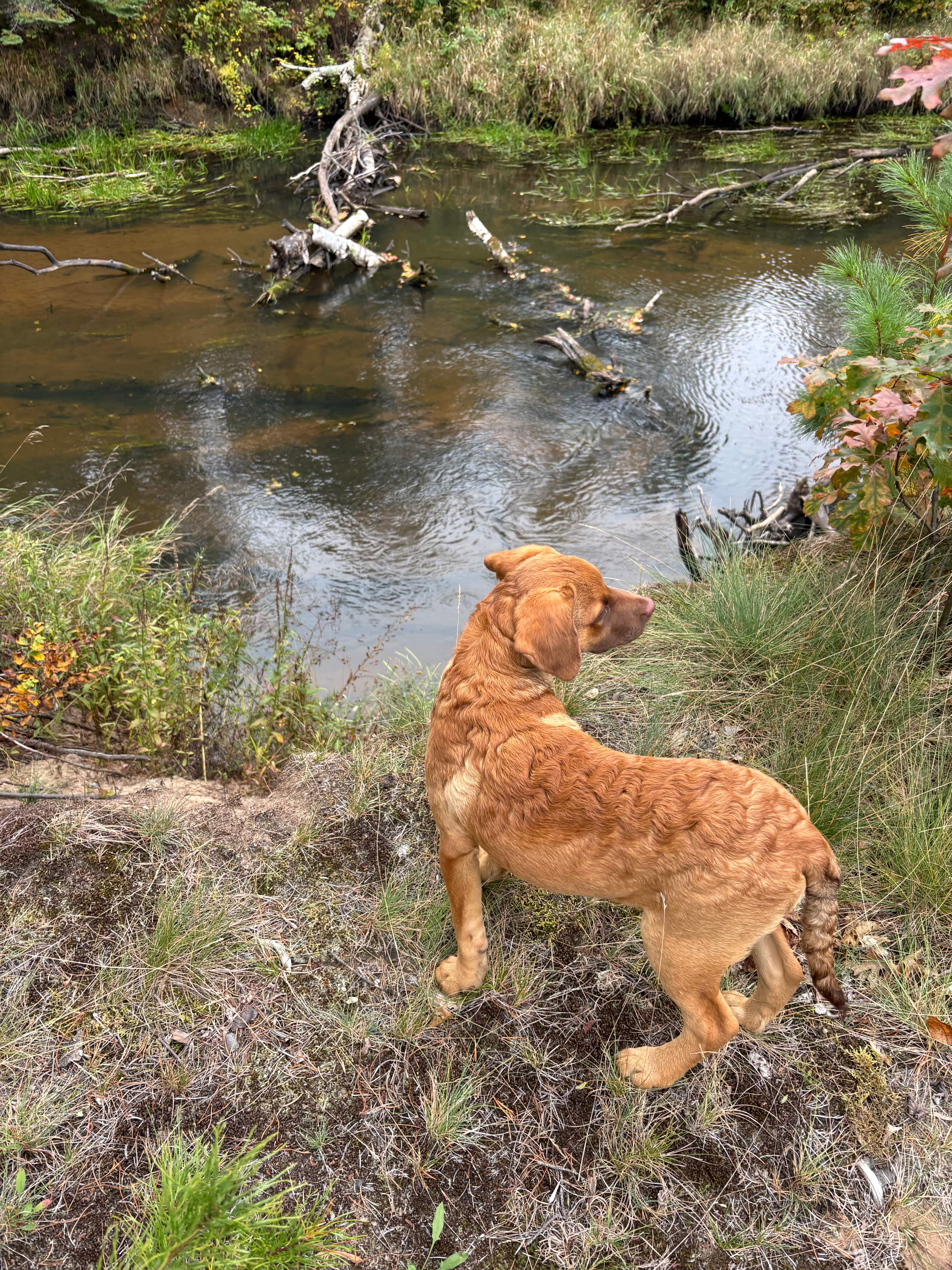 The Hoffman Hideaway