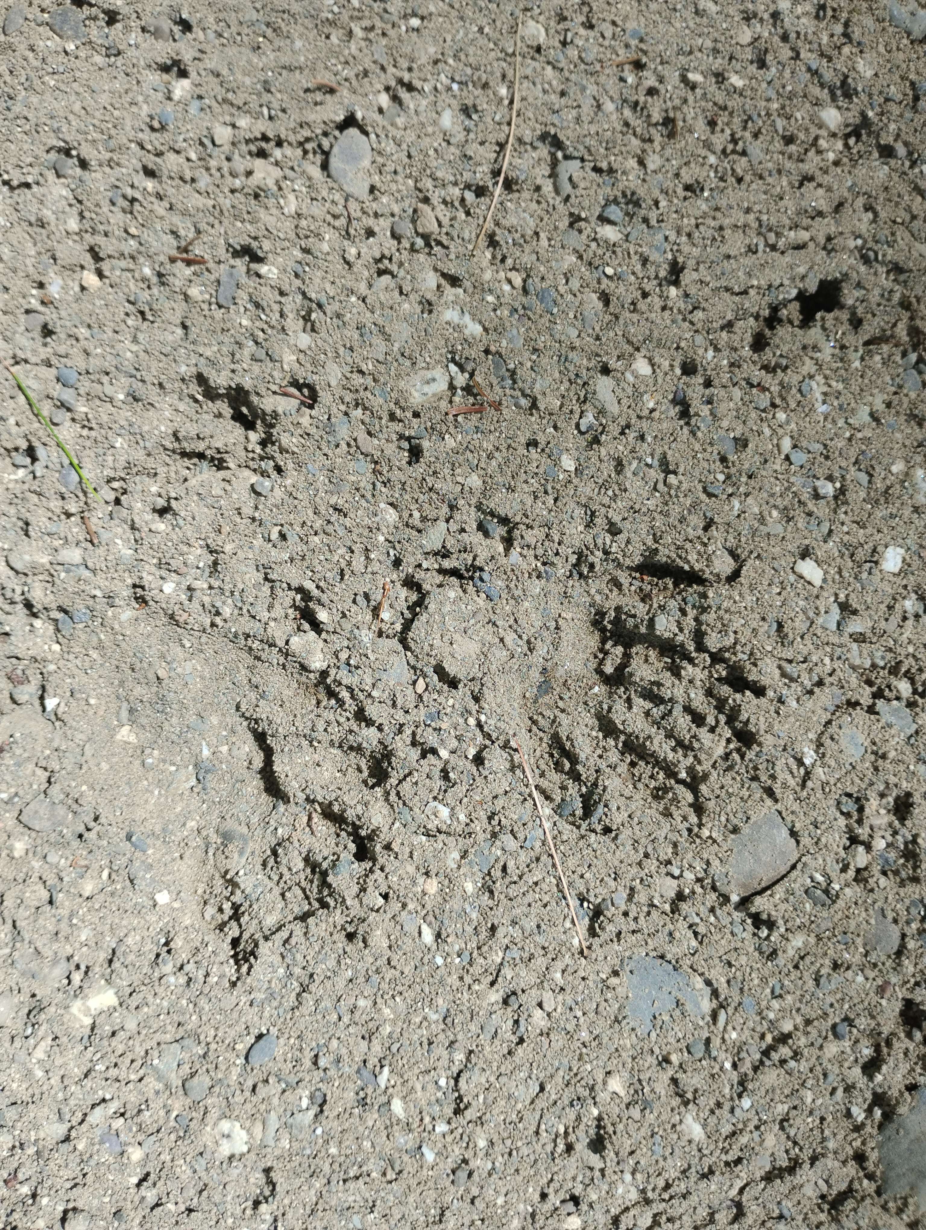 Beware of wildlife!