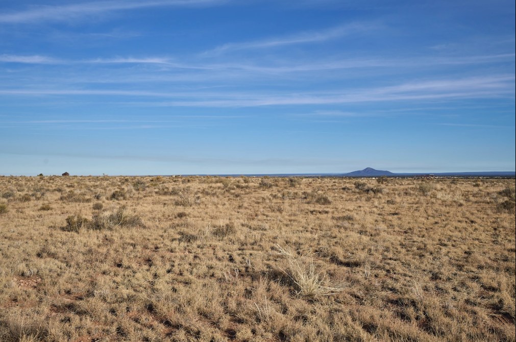 Farrington Ranch