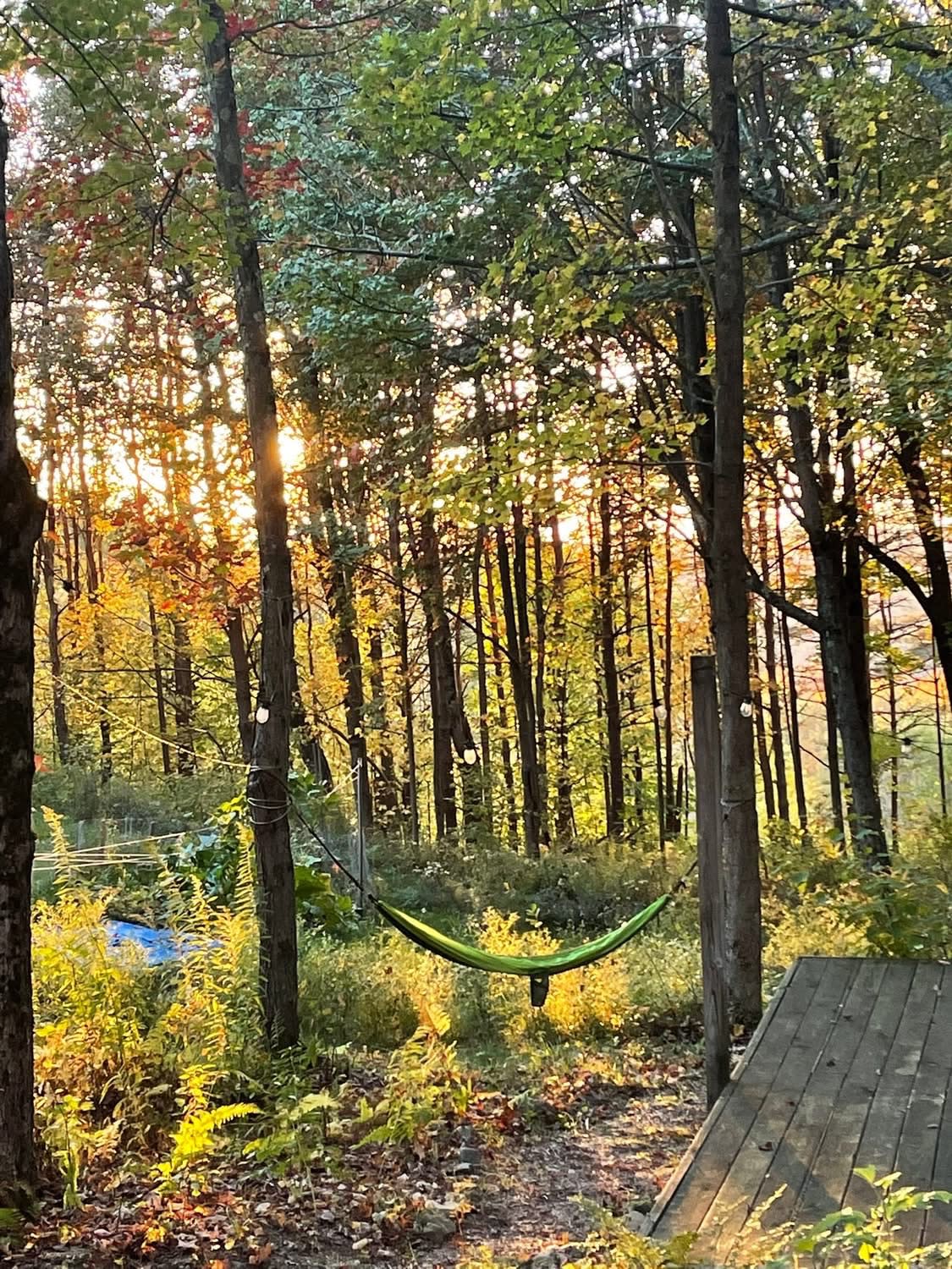 Chipmunk Hollow Soul Sanctuary