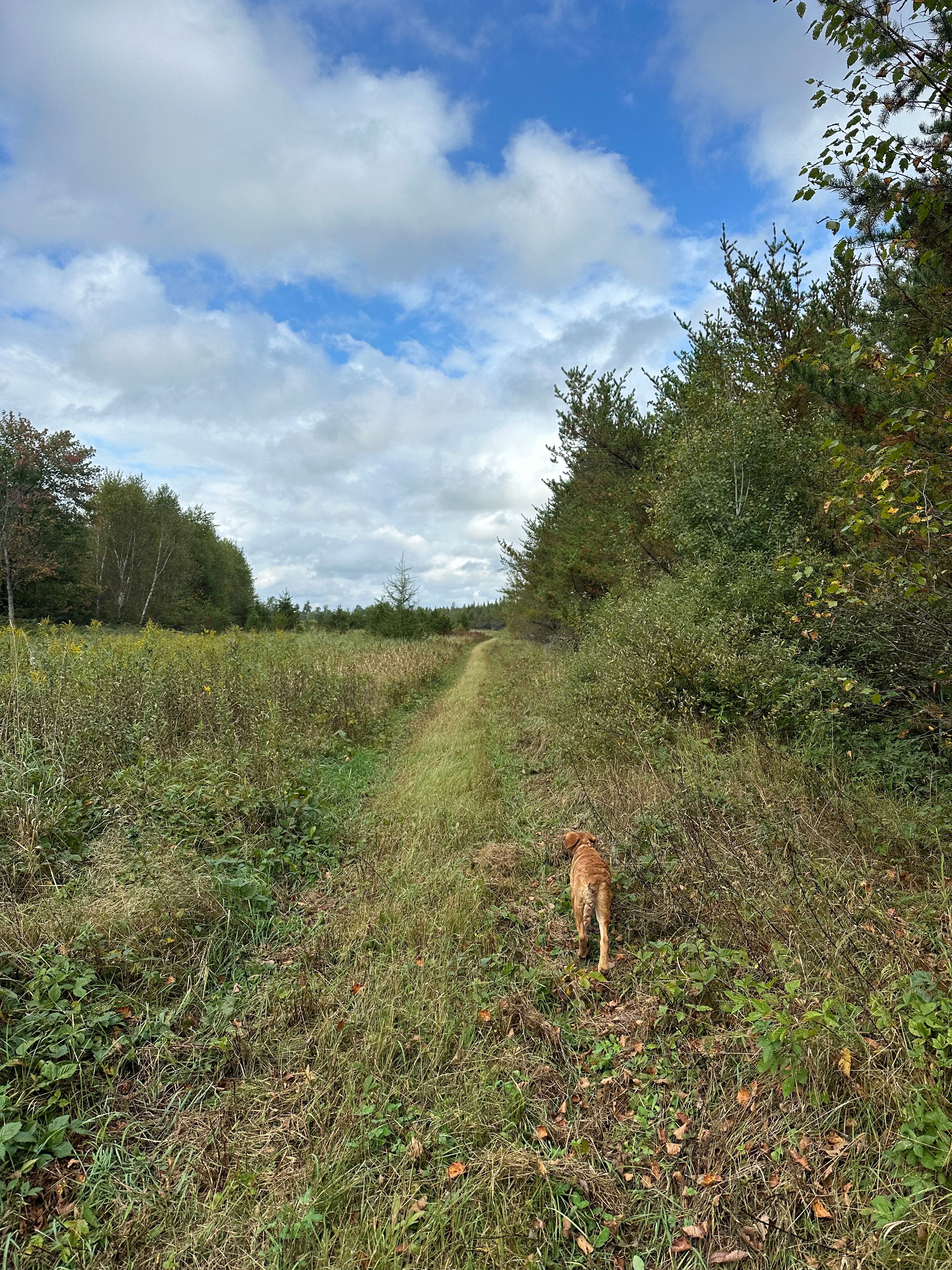 The Hoffman Hideaway